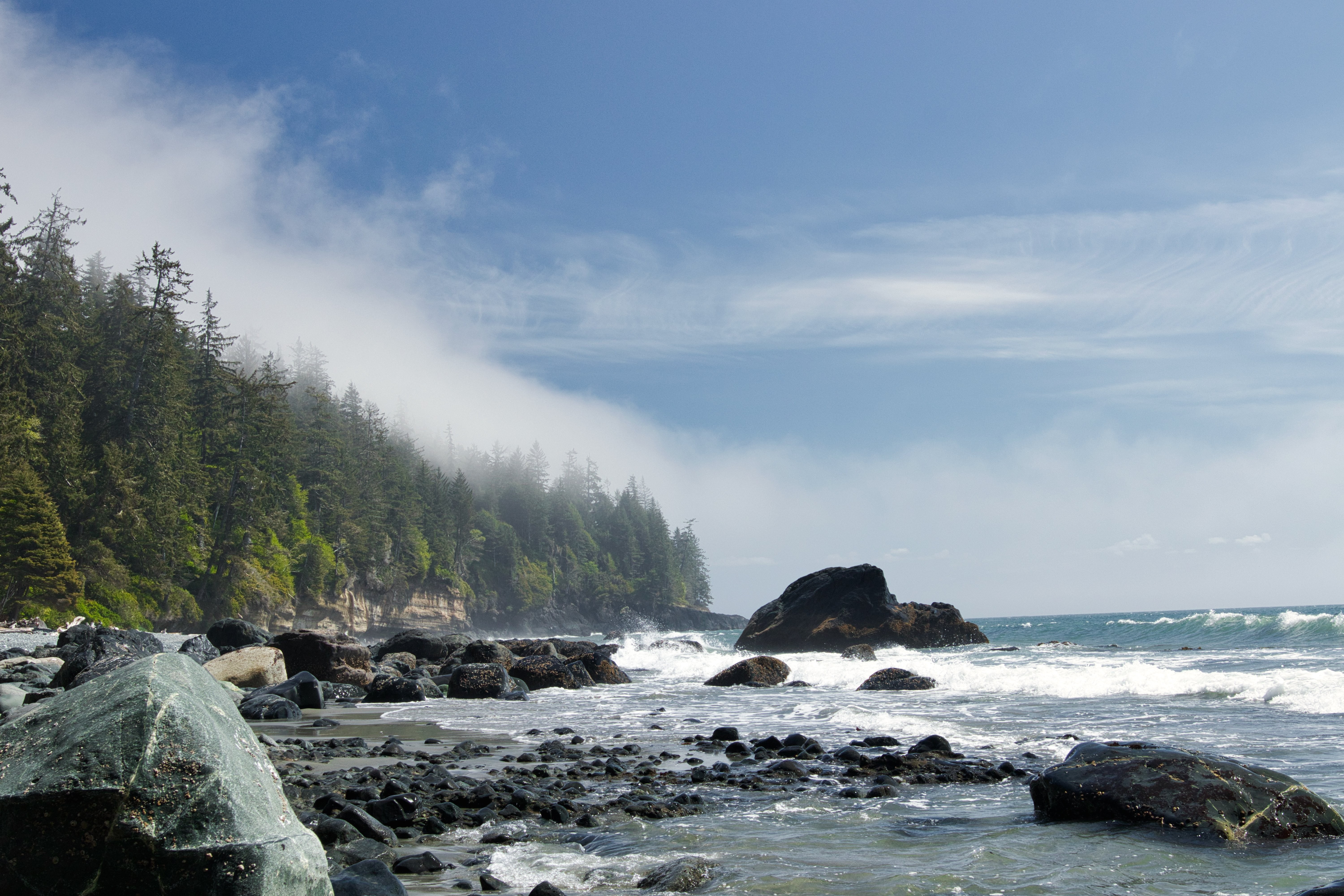 木の風景岩と水の海岸線の写真 