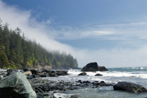 Paysage d arbres, rochers et eau Photo du rivage 