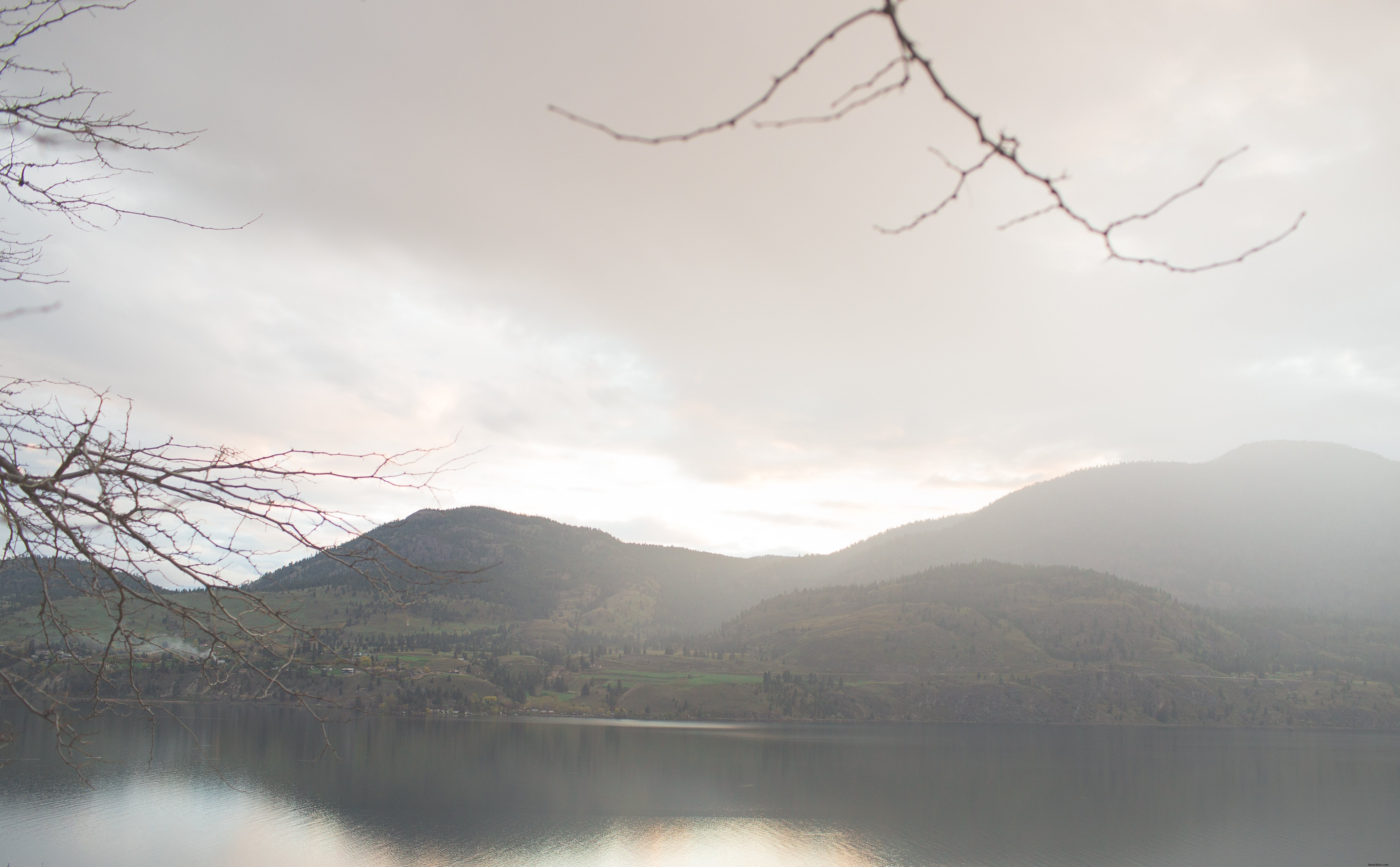 Un alba nebbiosa si riflette su un lago freddo foto 