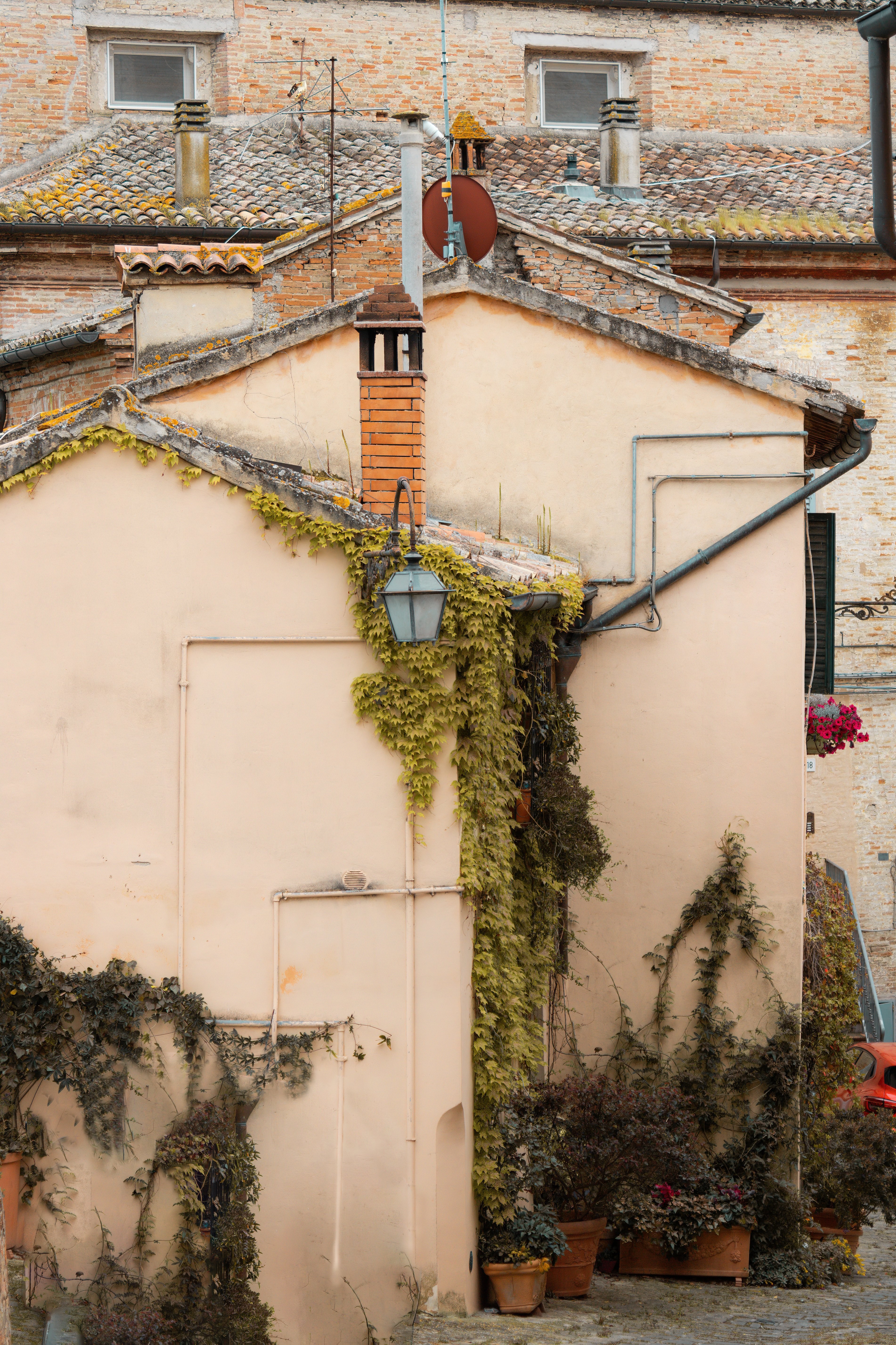 Lato di un edificio con viti che crescono sul lato foto 