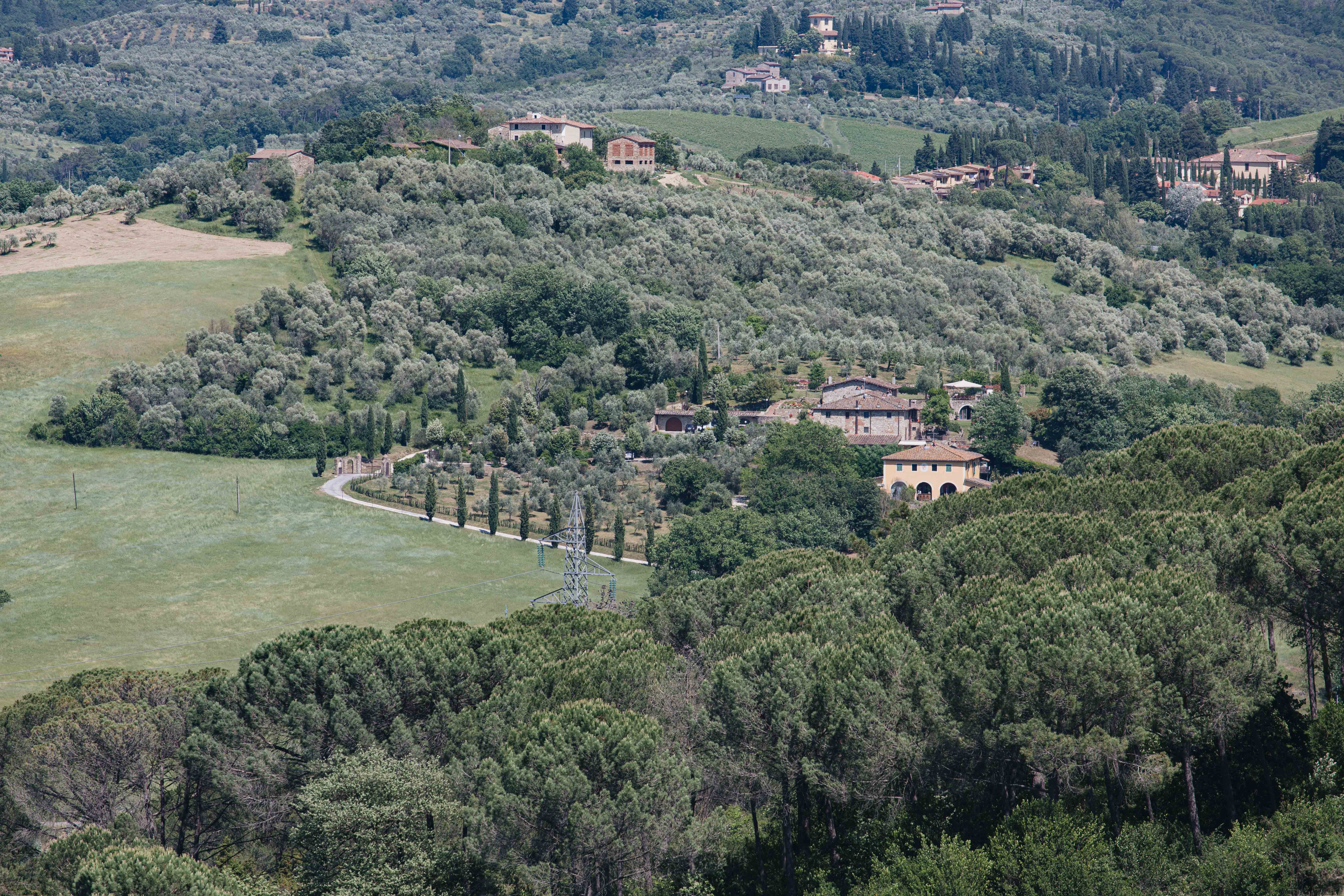 Los árboles rodean la casa en una vasta foto de paisaje 