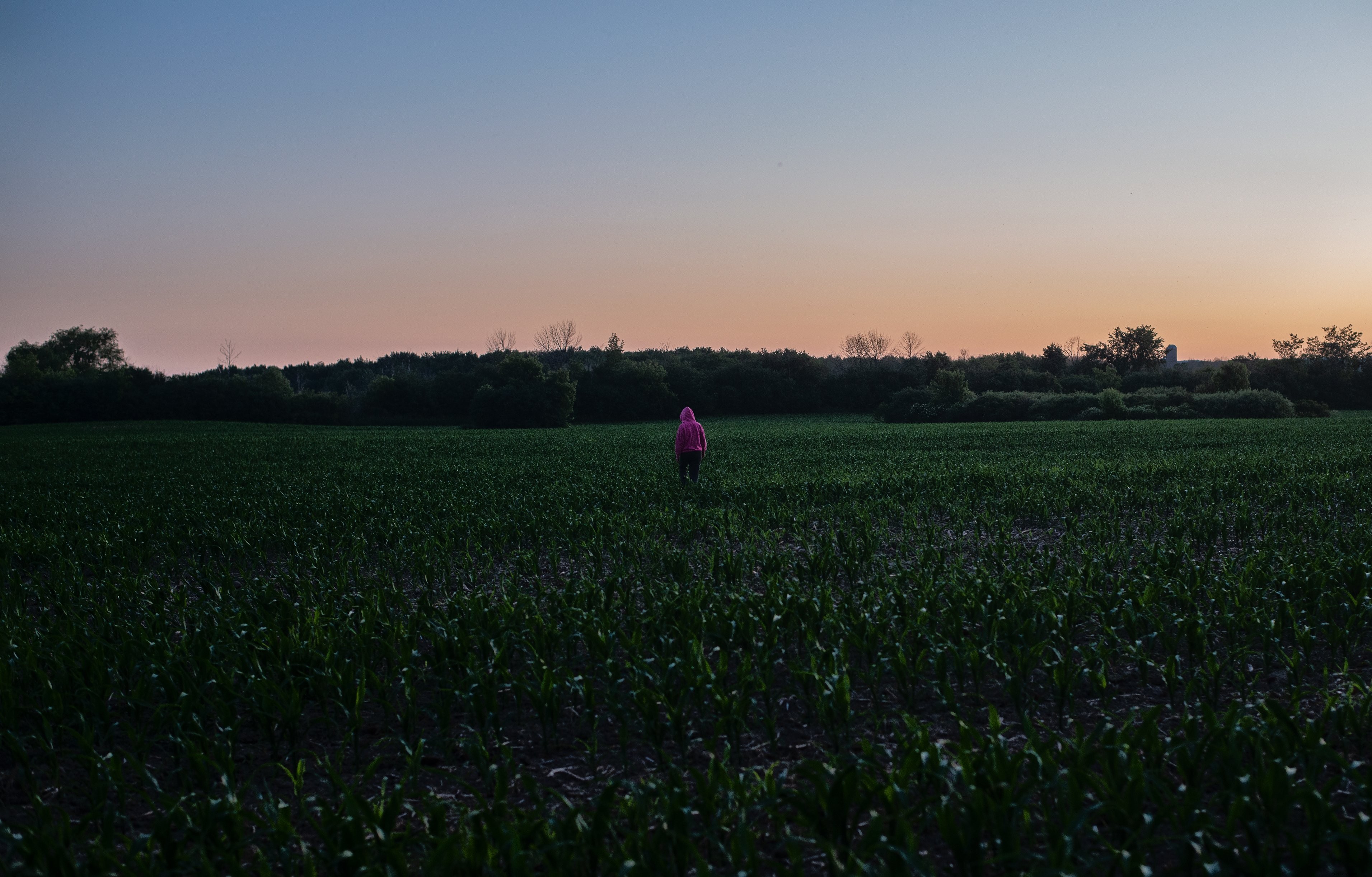 Persona con una felpa con cappuccio rosa cammina in un campo di contadini al tramonto foto 
