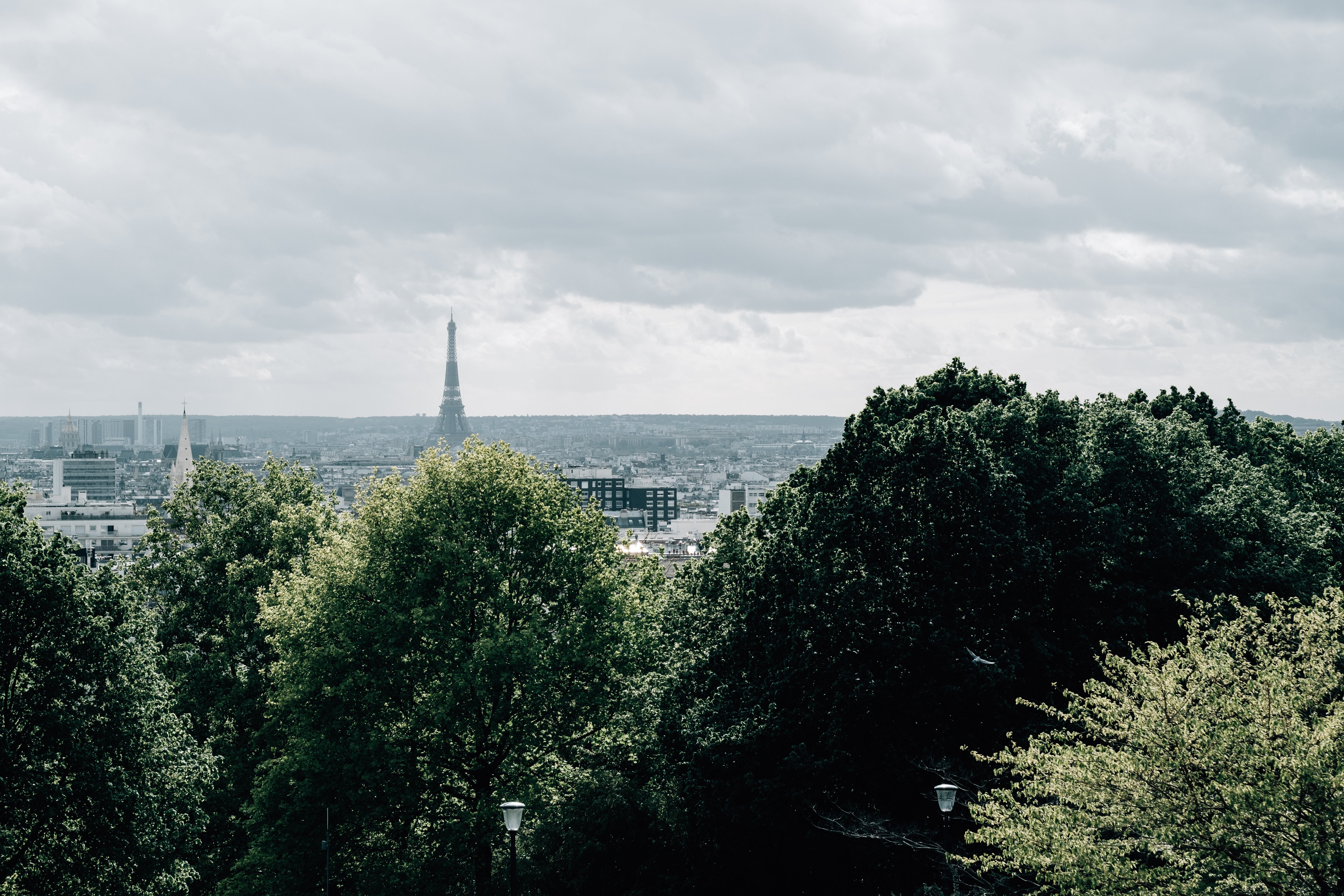 地平線上のエッフェル塔とパリのスカイライン写真 