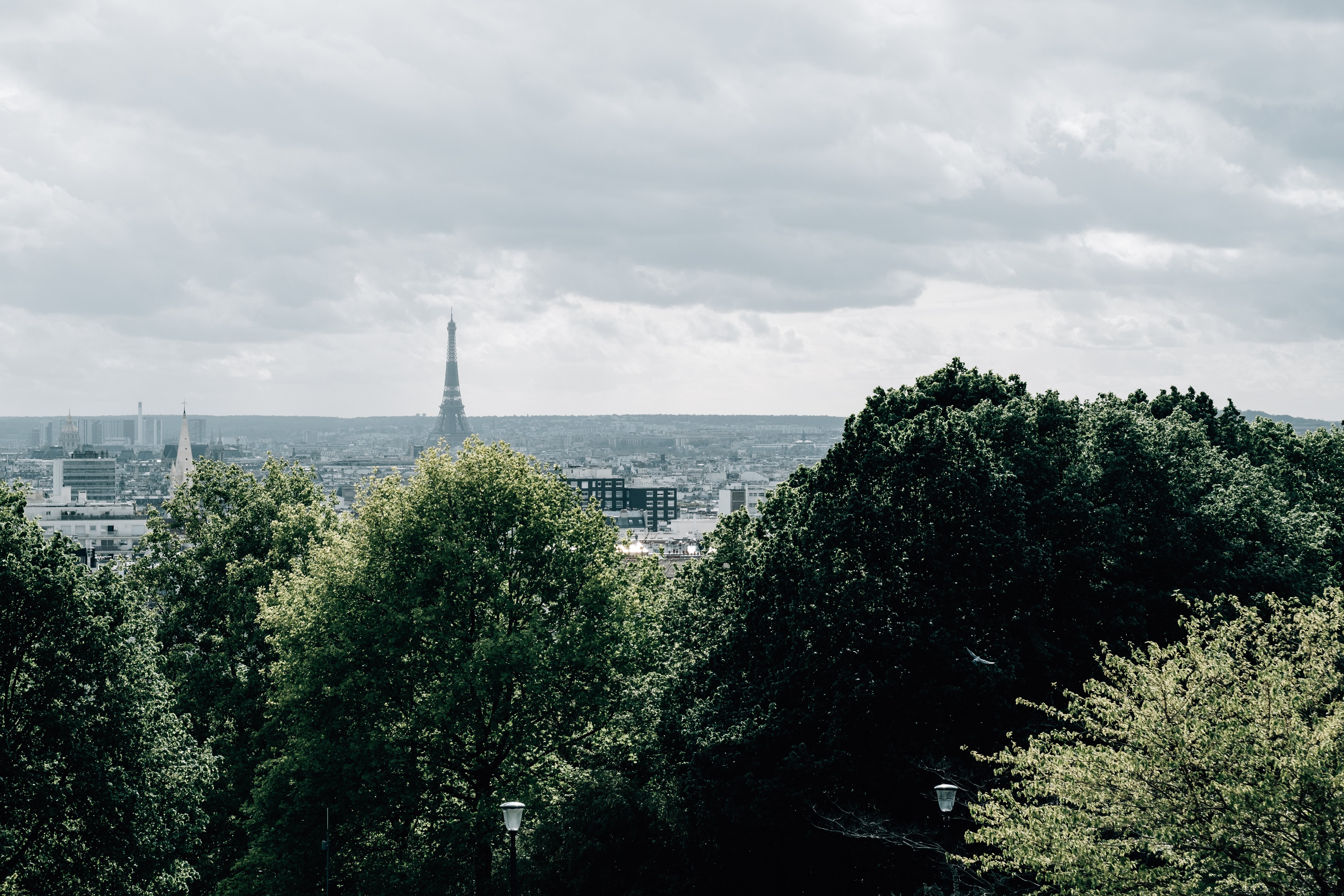 Skyline di Parigi con la Torre Eiffel all orizzonte foto 