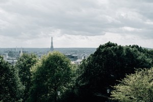 Skyline di Parigi con la Torre Eiffel all orizzonte foto 