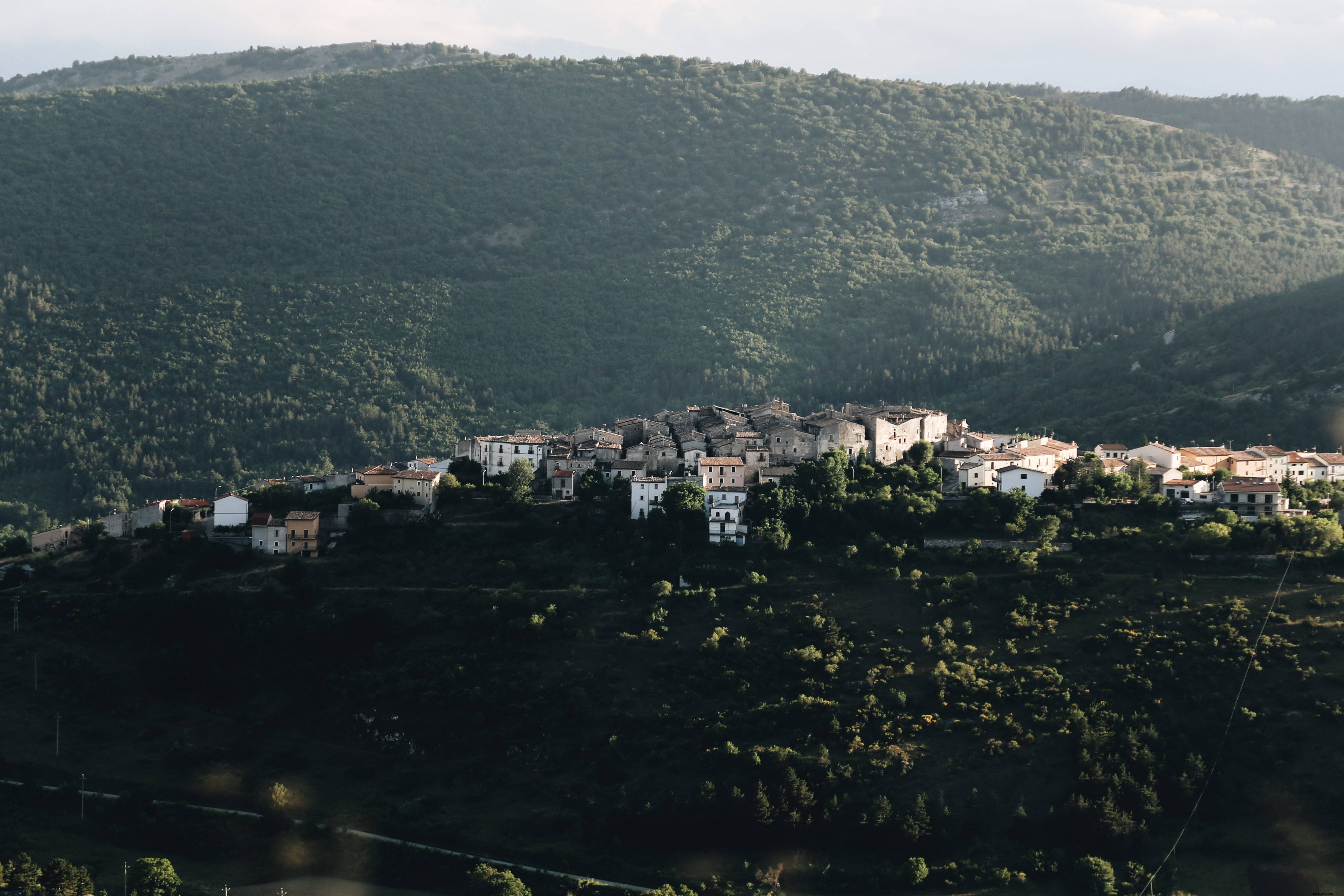 Casas agrupadas em uma foto de colina 