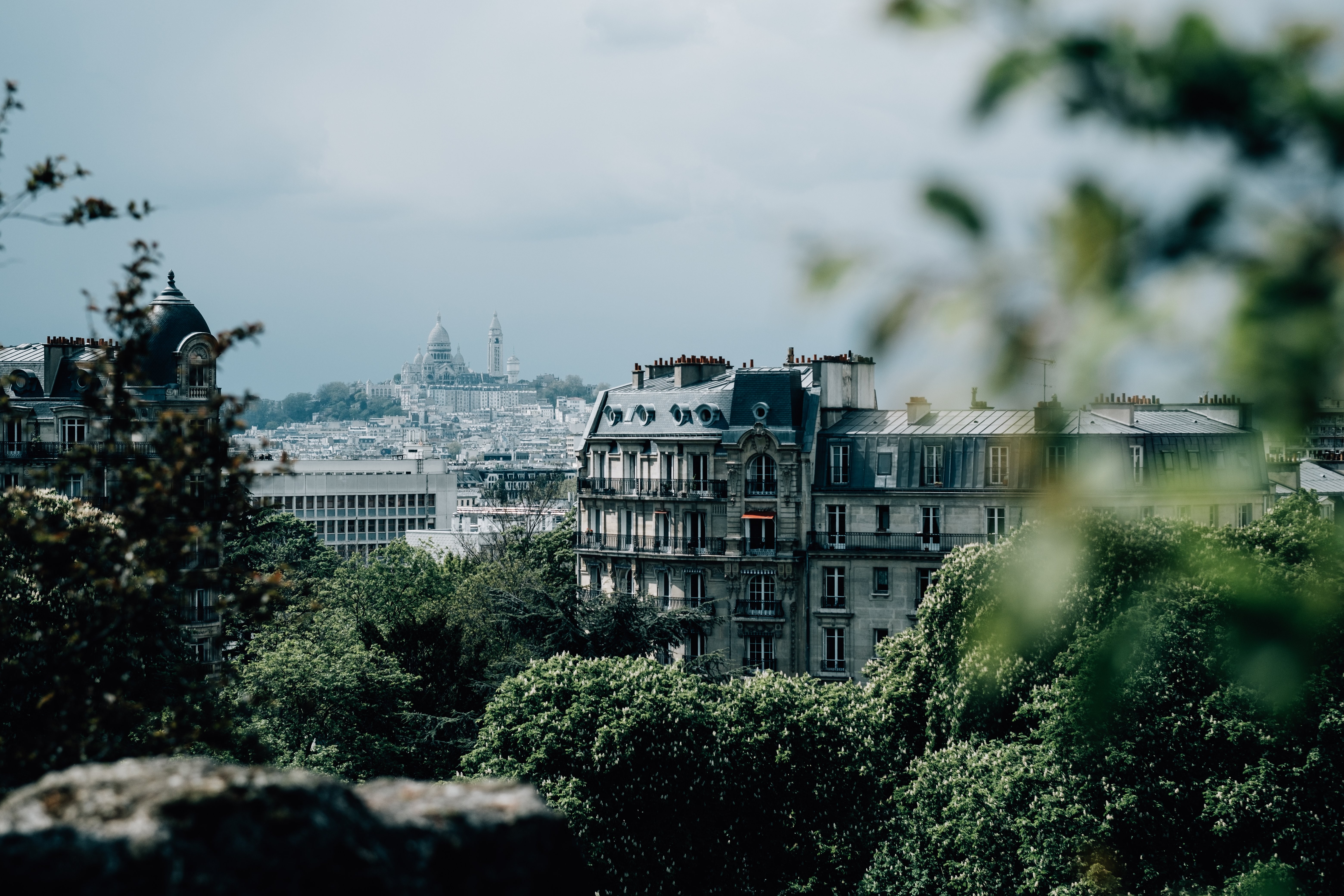 Vista sullo skyline della città con alberi verdi in primo piano foto 