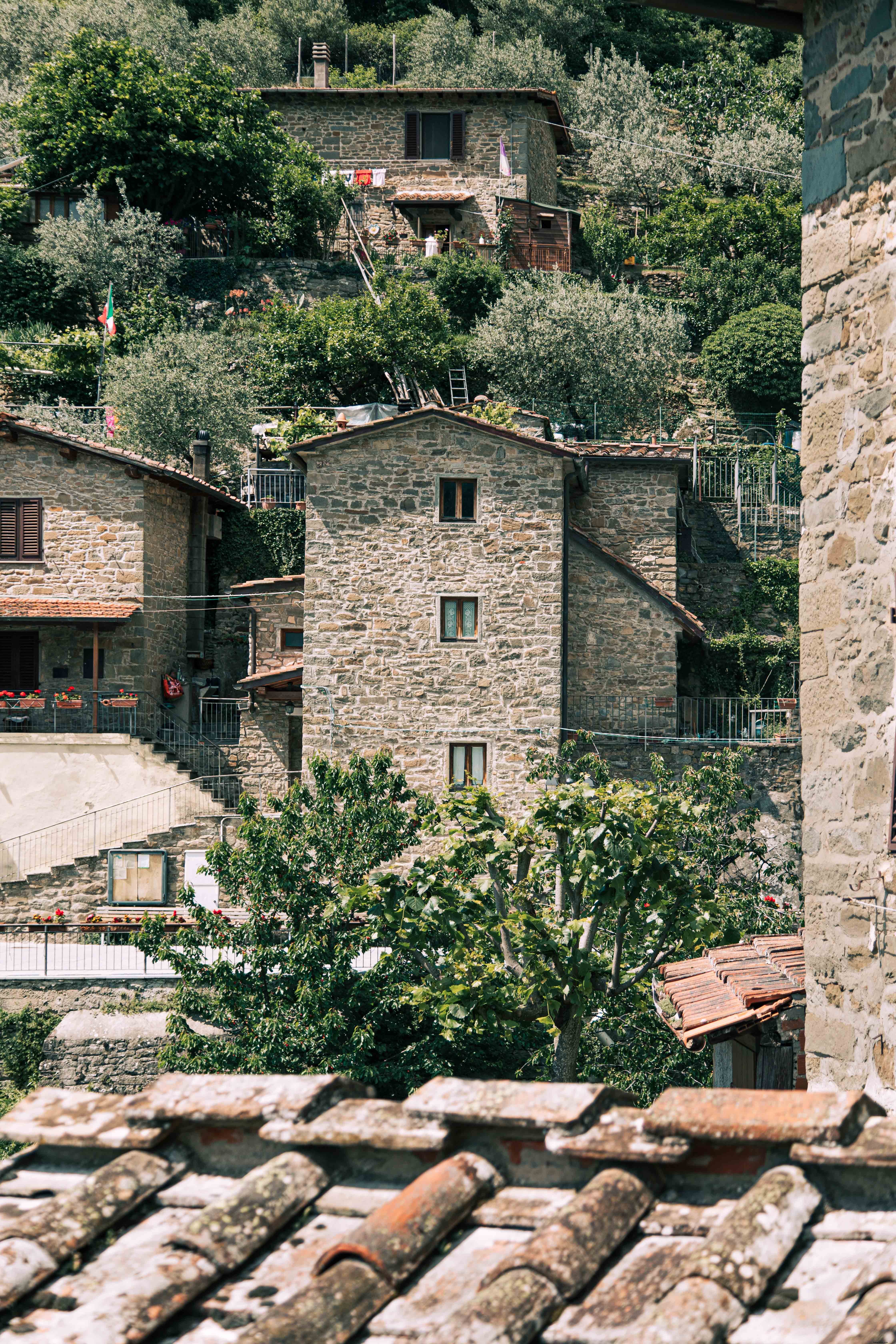 Árboles y edificios de piedra en la foto de la ladera 