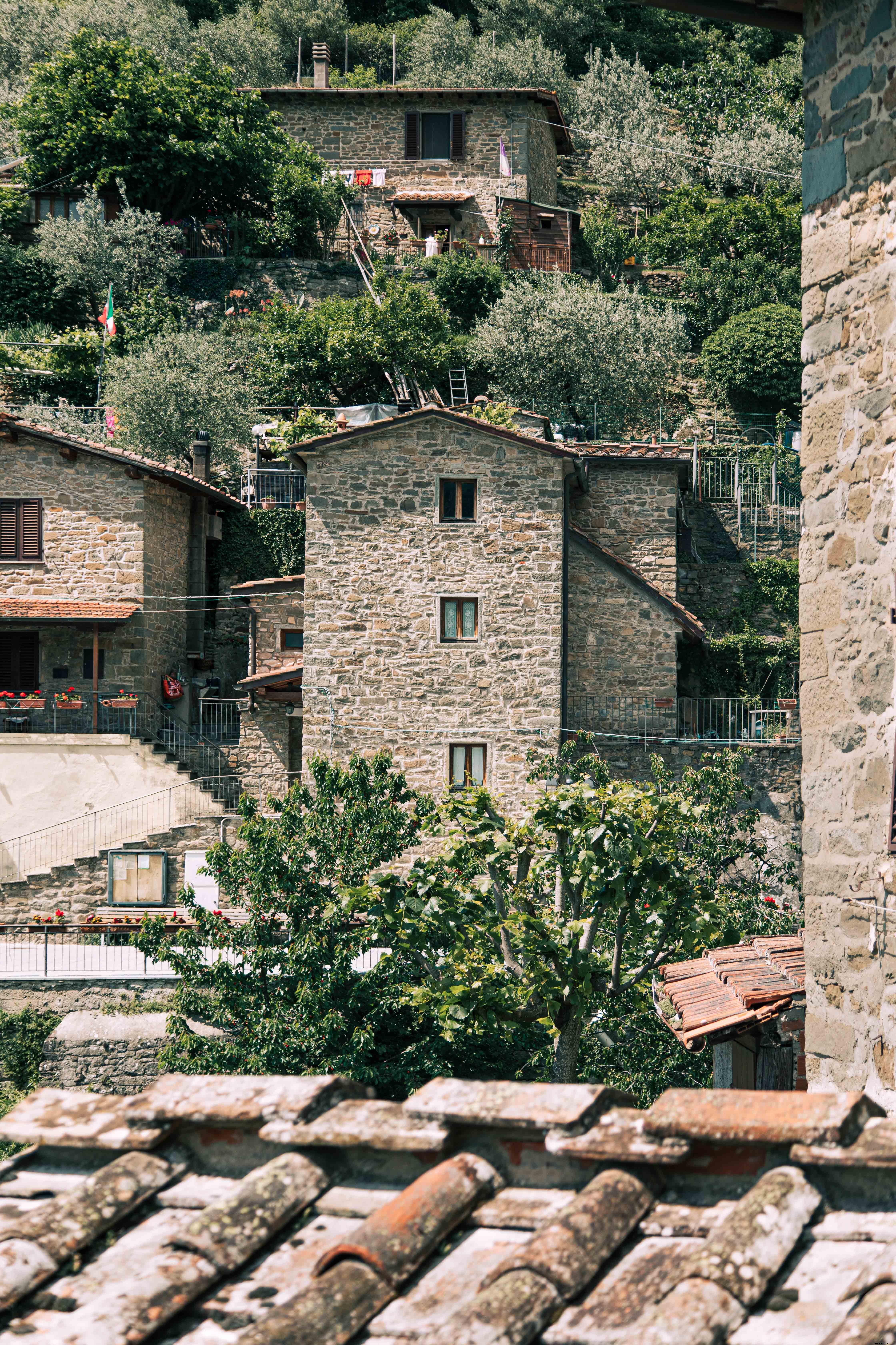 Foto de árvores e edifícios de pedra na encosta 