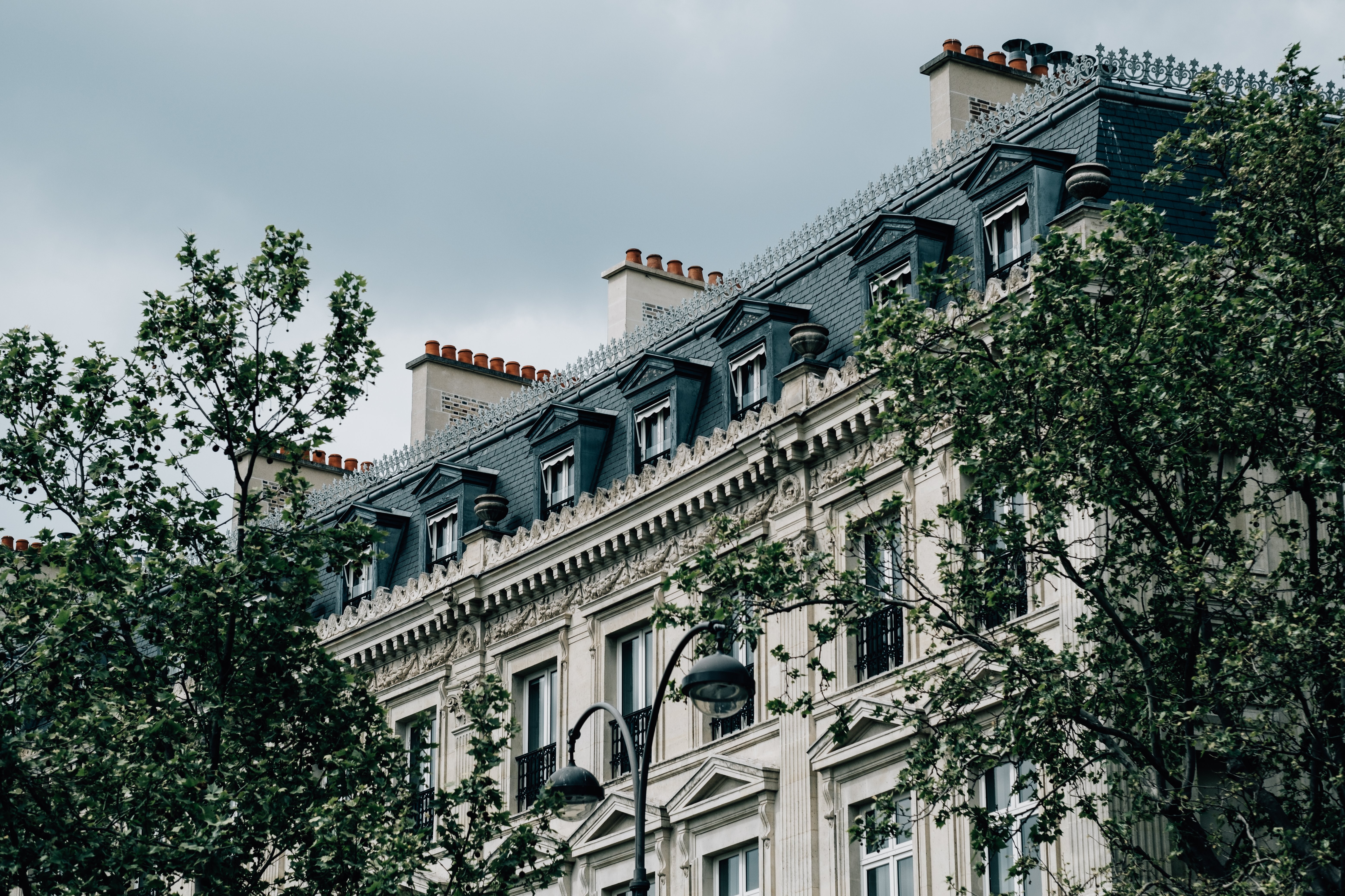 Les arbres encadrent un vieux bâtiment avec une photo de travail en pierre sculptée 