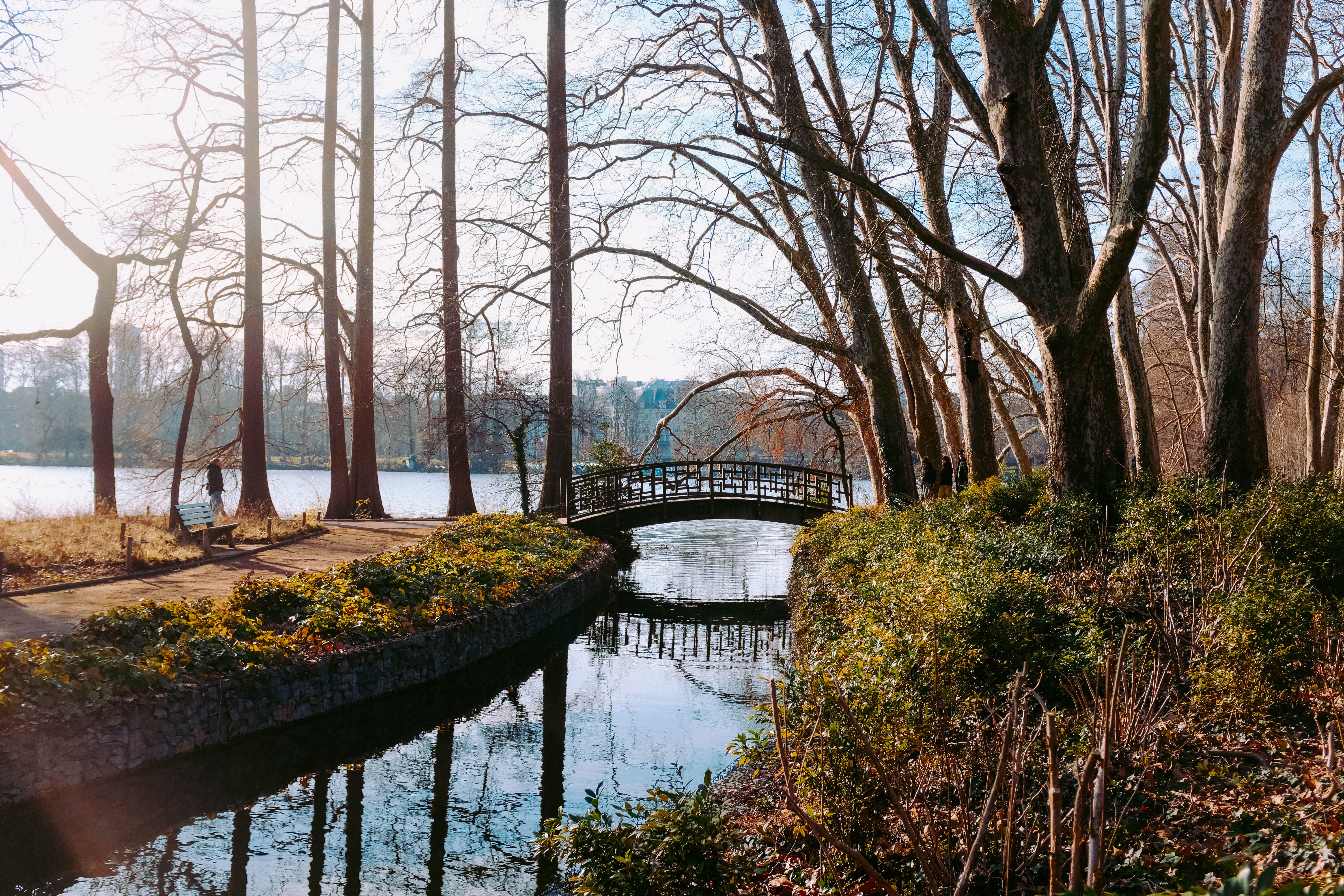 La lumière du soleil reflète les couleurs sur une photo de la rivière 