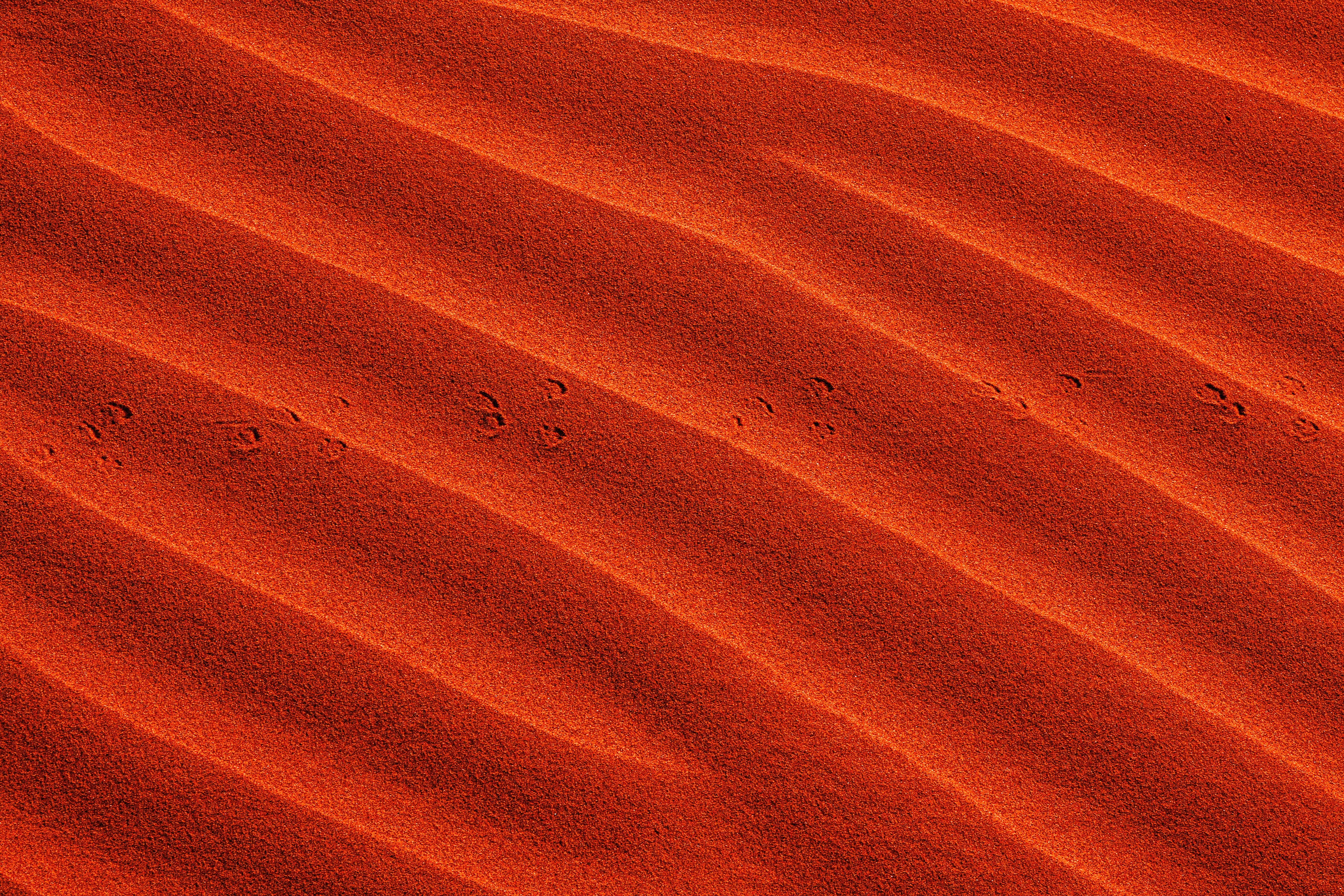 小さな足跡の写真と鮮やかなオレンジ色の砂の波 