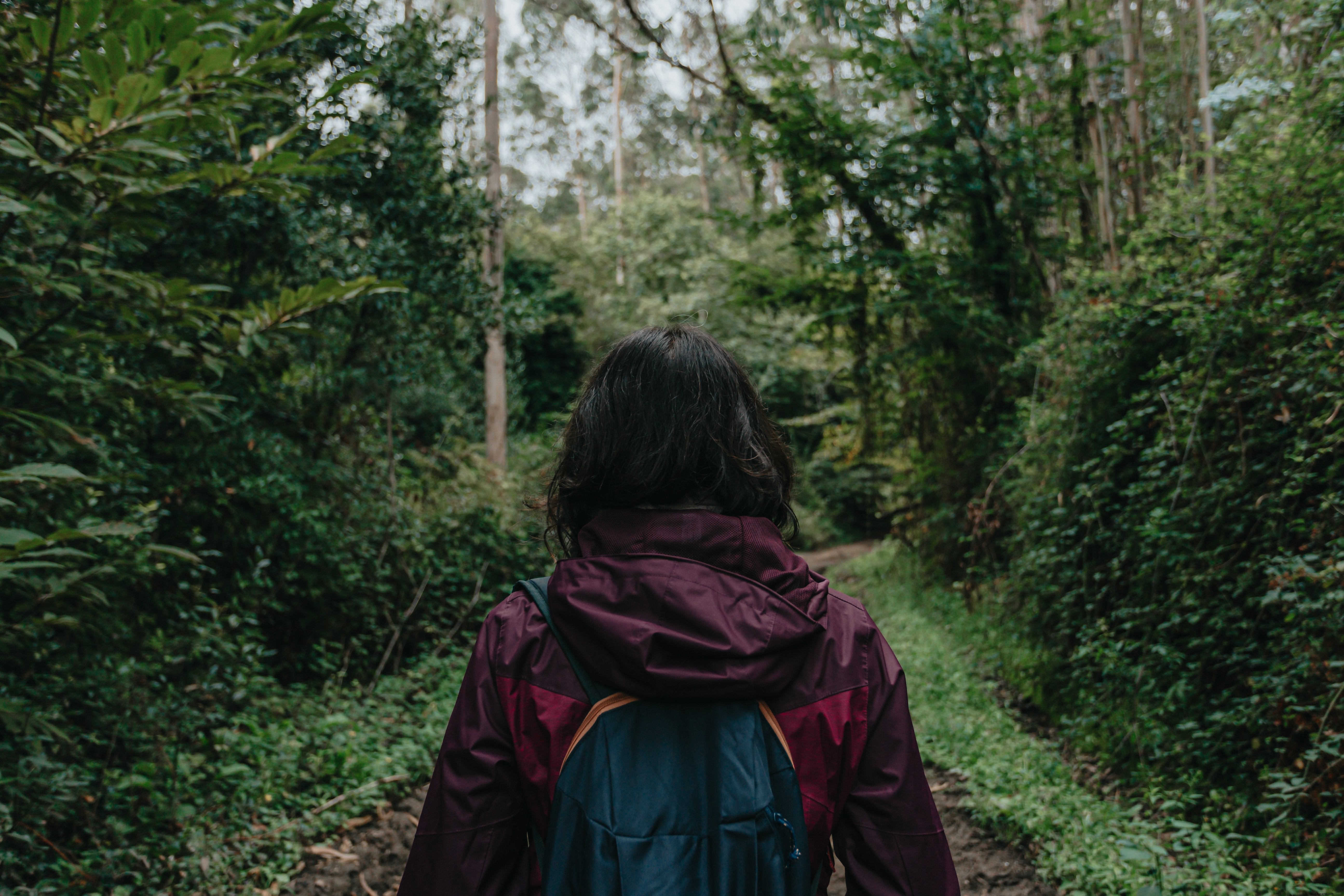 Persona con un impermeable rojo camina por un camino exuberante Foto 