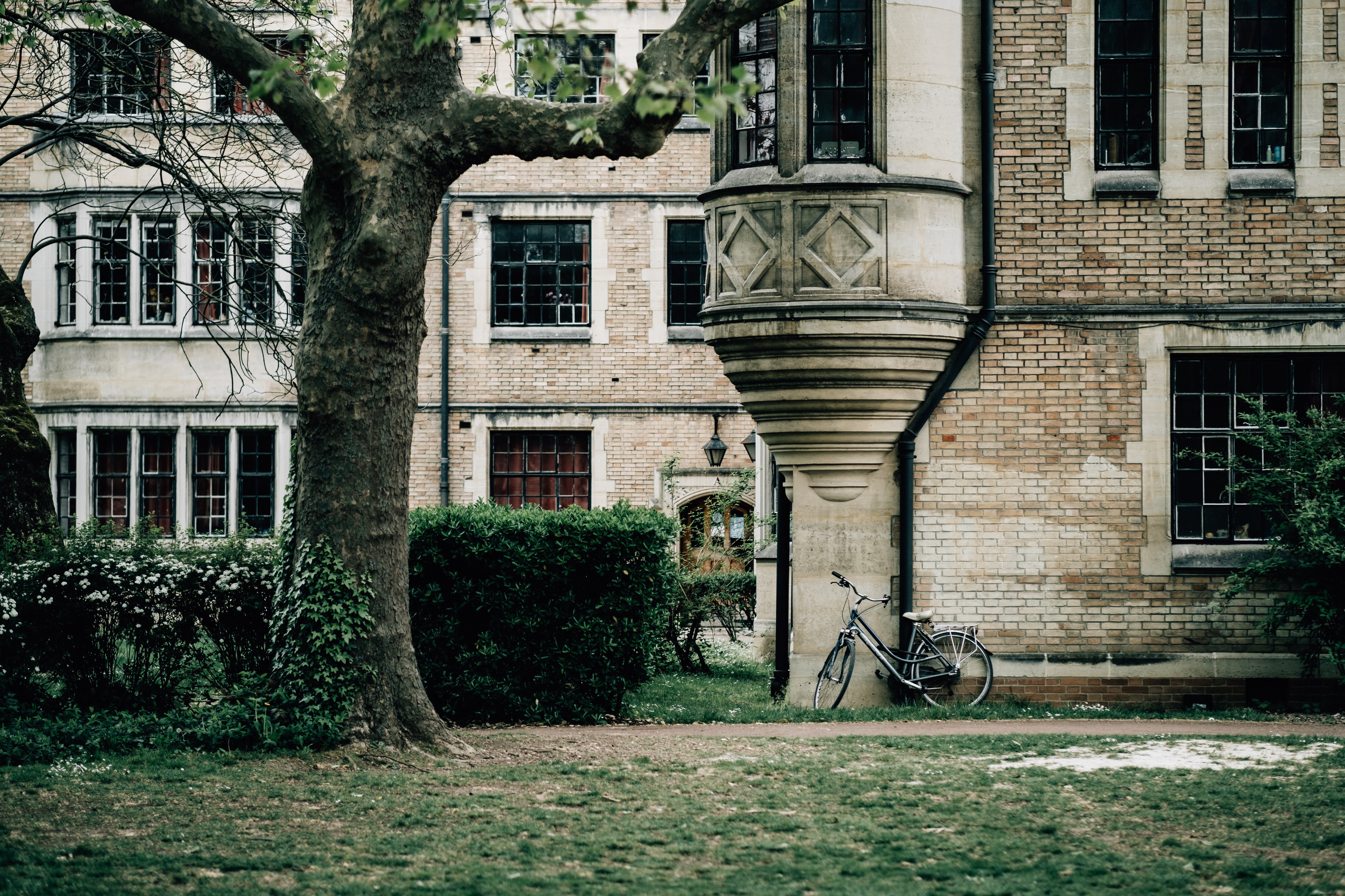 Bicicleta descansa contra un edificio antiguo con fotografía de hierba verde 