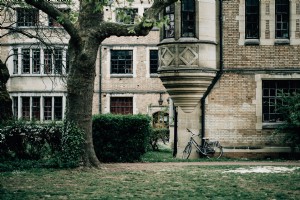 La bicicletta poggia contro un vecchio edificio con erba verde Photo 