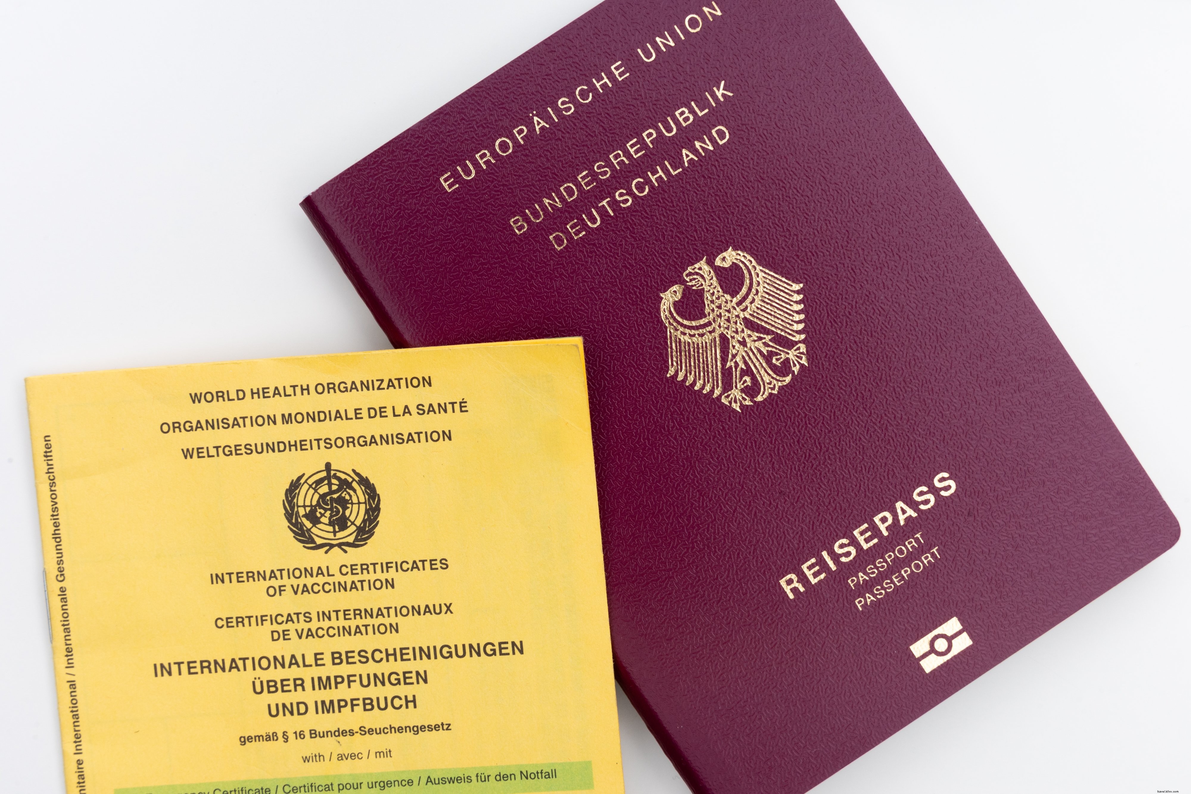 Flatlay della carta del vaccino e una foto del passaporto 