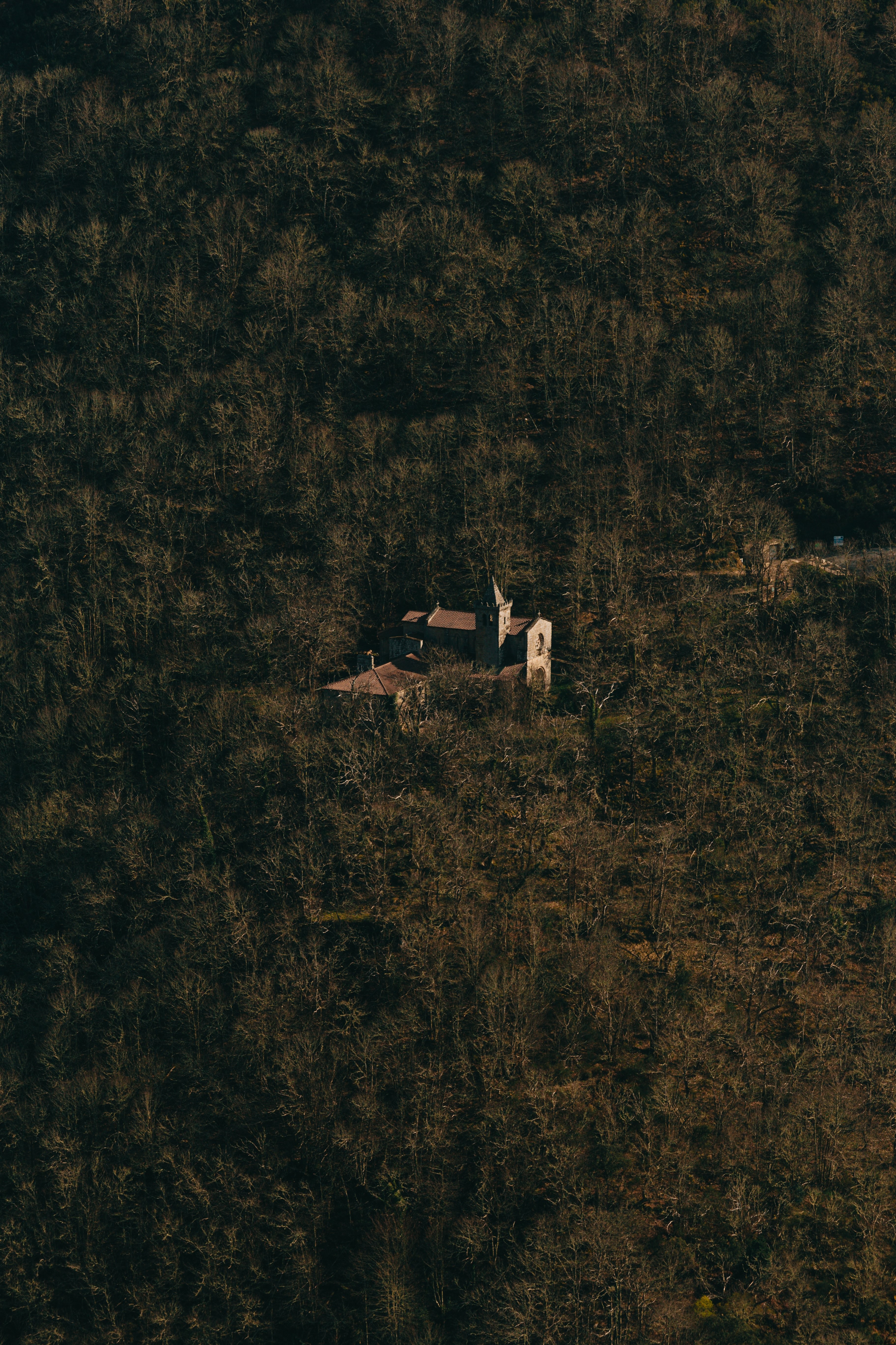 Foto aérea de um prédio dentro de uma densa floresta. 