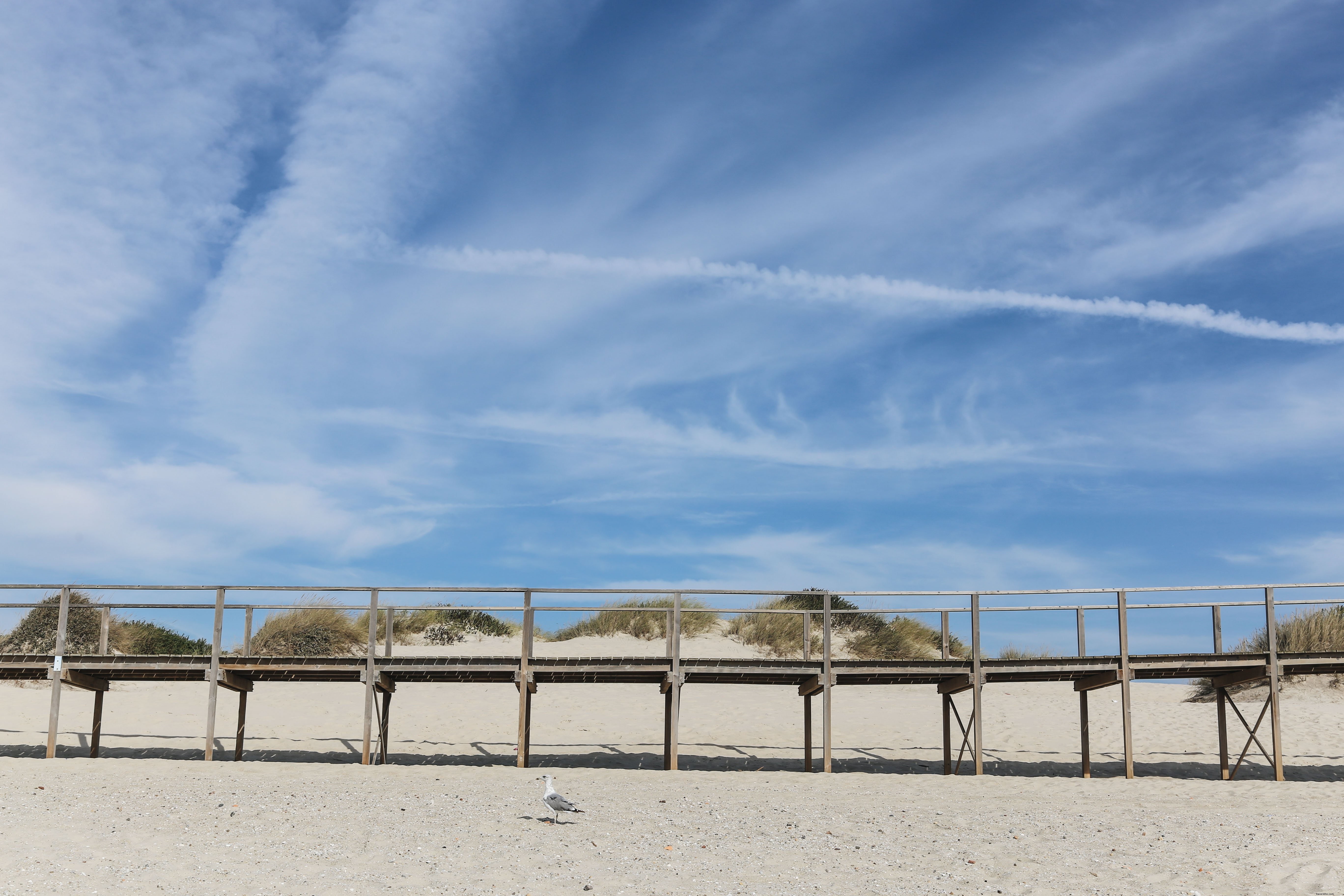 Passerelle en bois sur photo de sable 