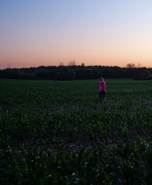 ピンクの人は小さなトウモロコシの植物のフィールドを歩きます写真 