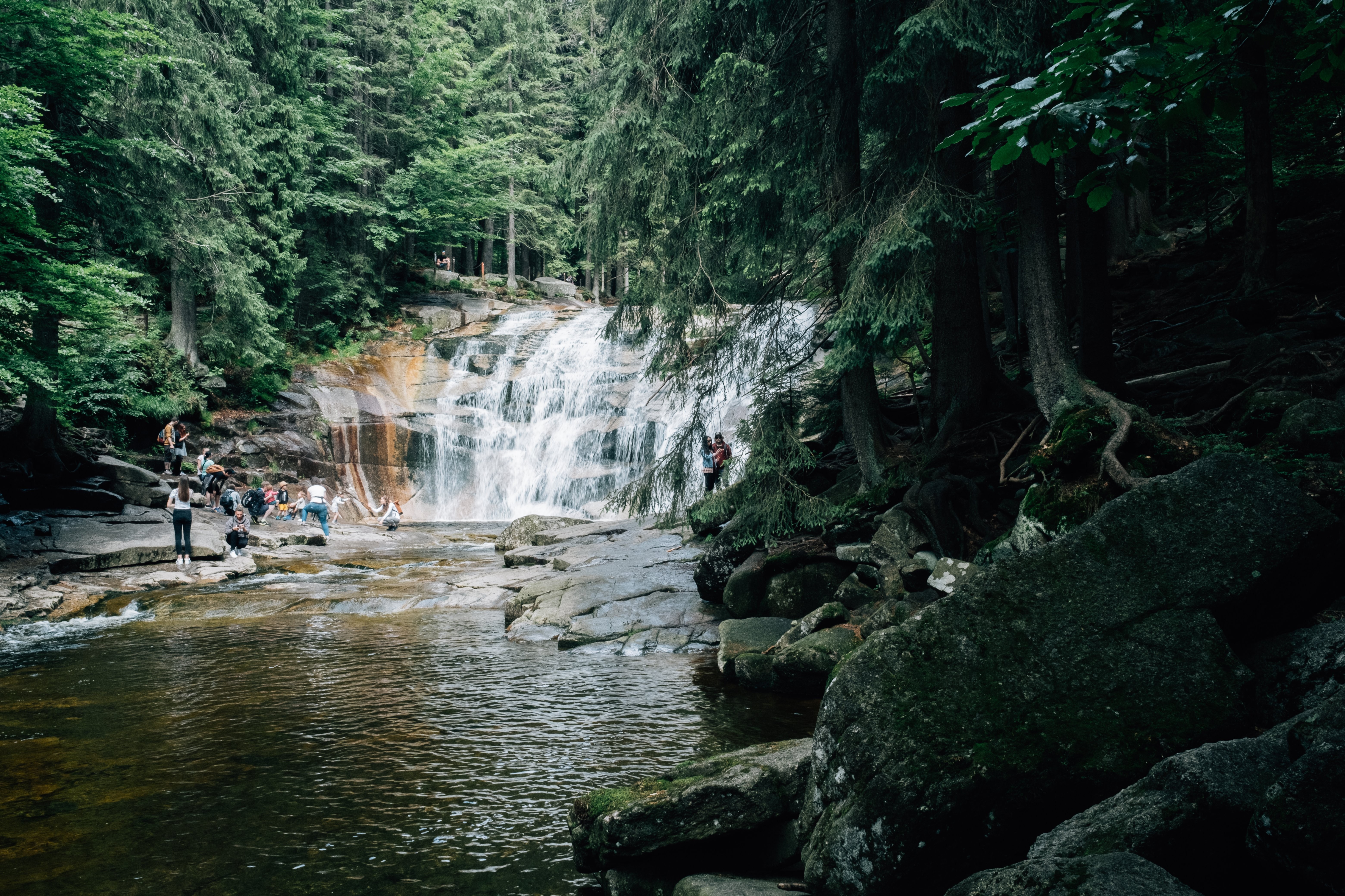 Pessoas desfrutam da água fria de uma cachoeira ladeada por uma floresta Foto 