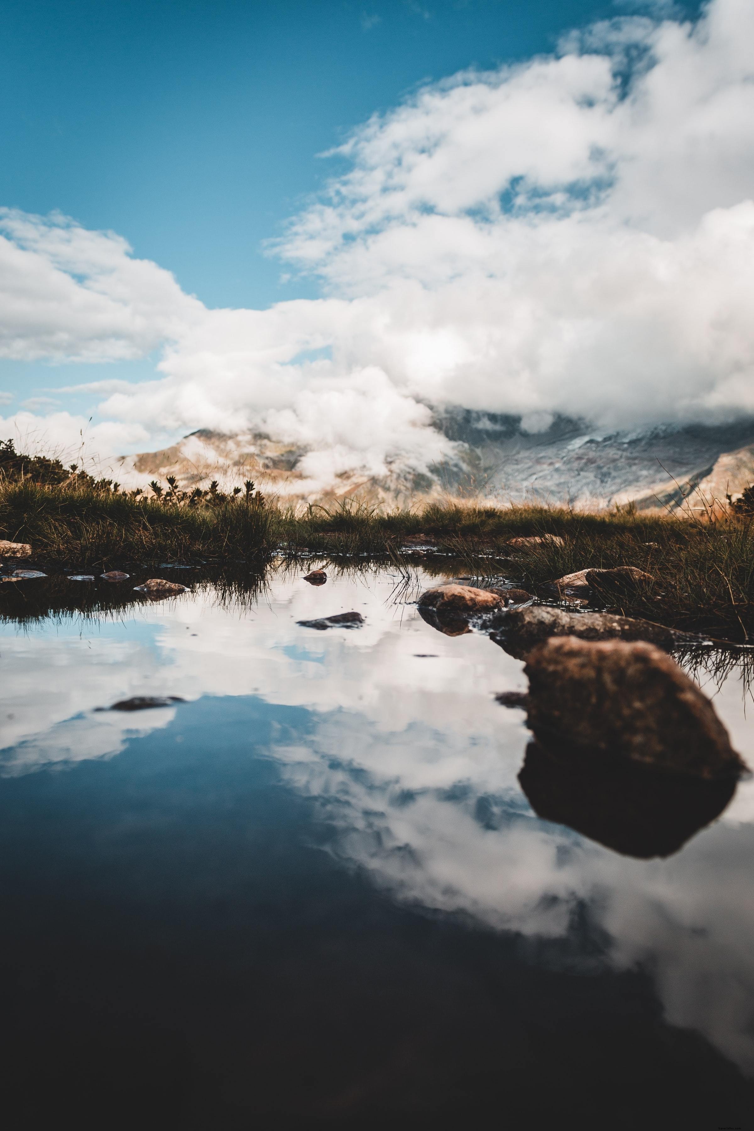 Acqua foderata di erba che riflette le nuvole e il cielo blu Foto 