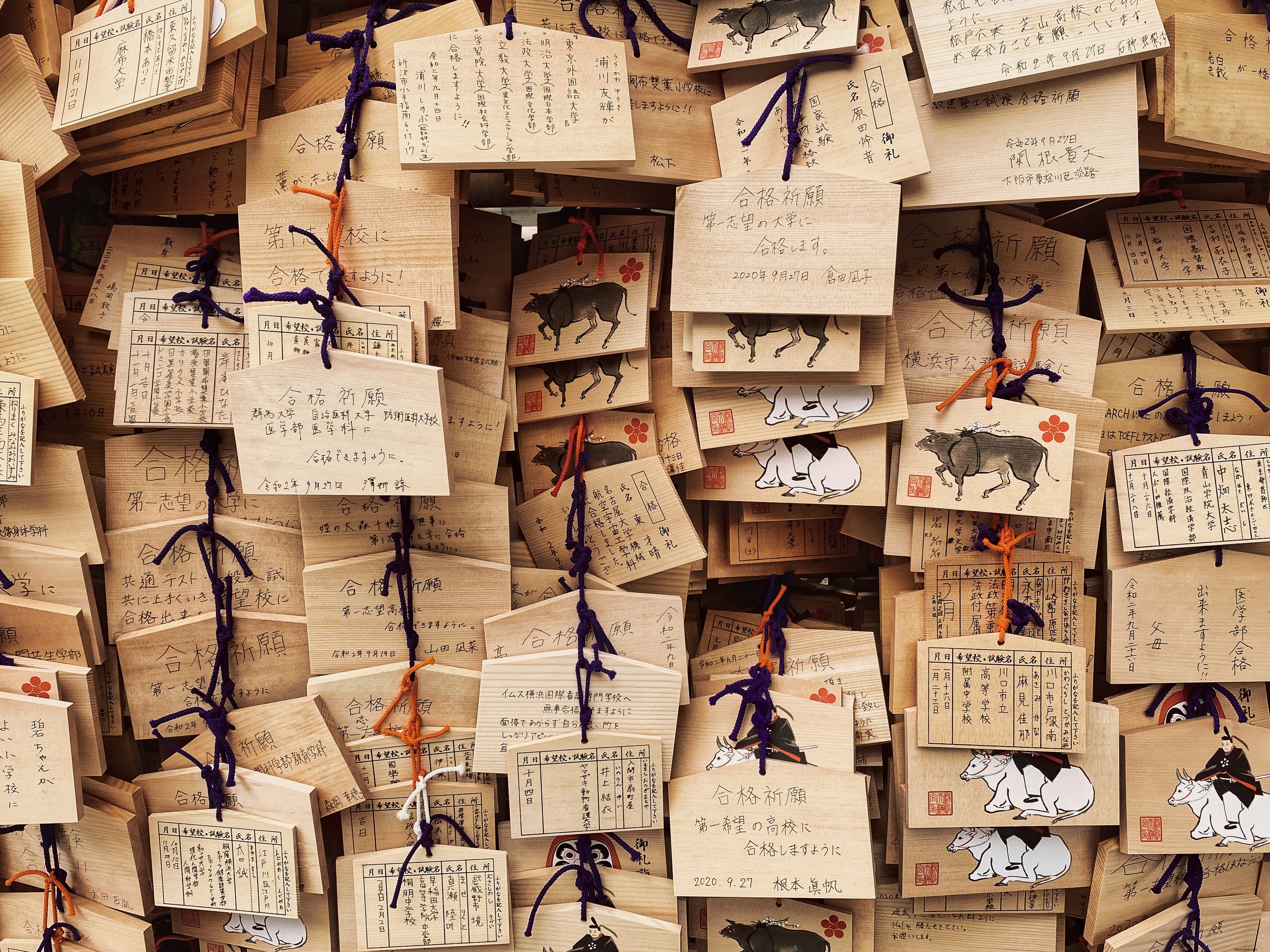 Pequeños paneles de madera con texto escrito a mano e imágenes fotográficas 