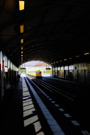 Tren amarillo llega foto 