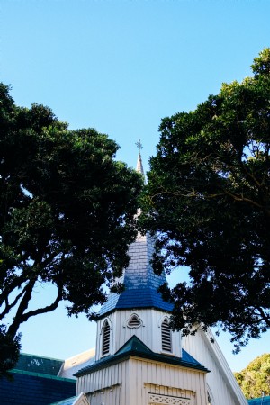 Foto do pináculo da igreja entre duas árvores 