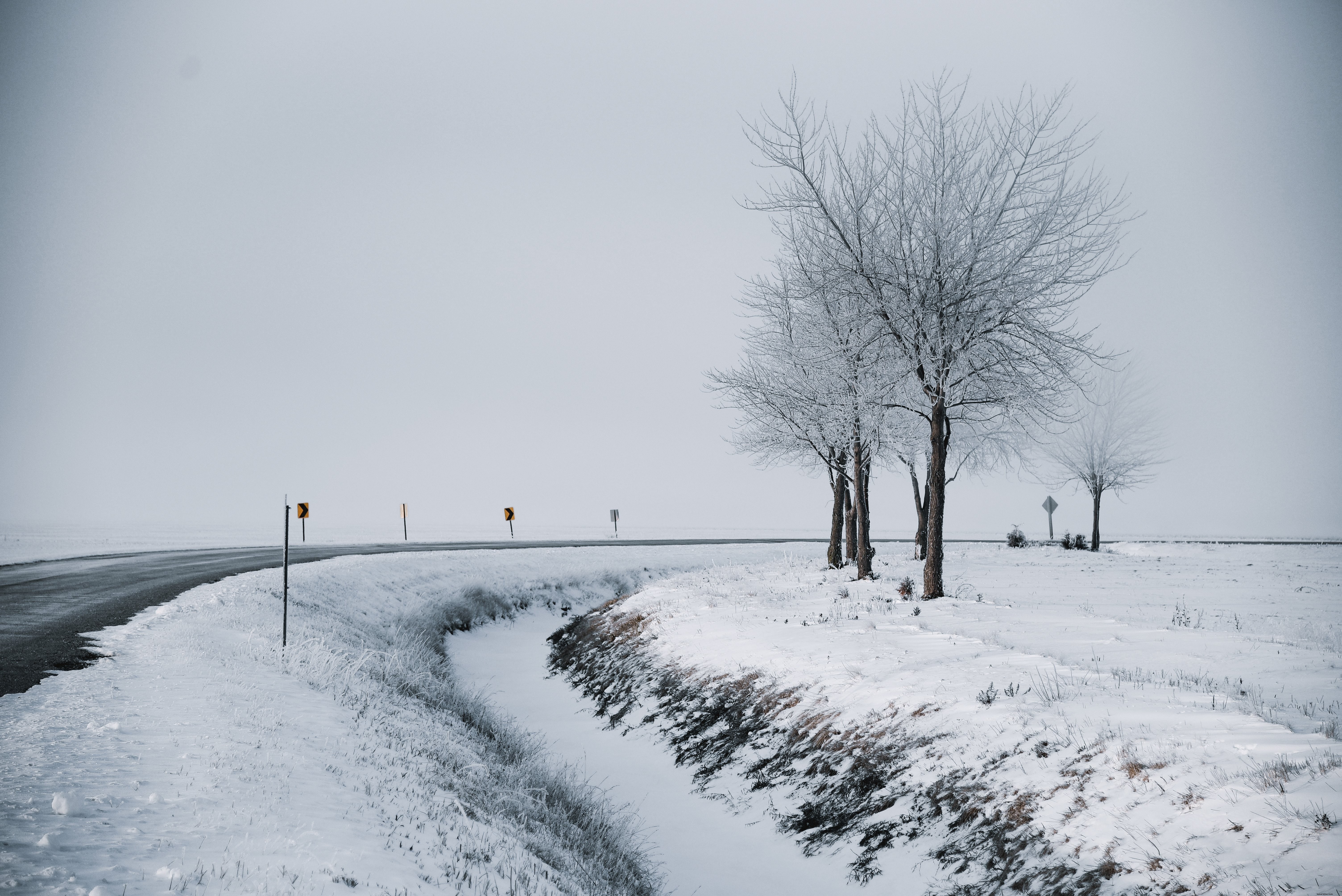 木々の間を曲がる冬の道の雪景色写真 