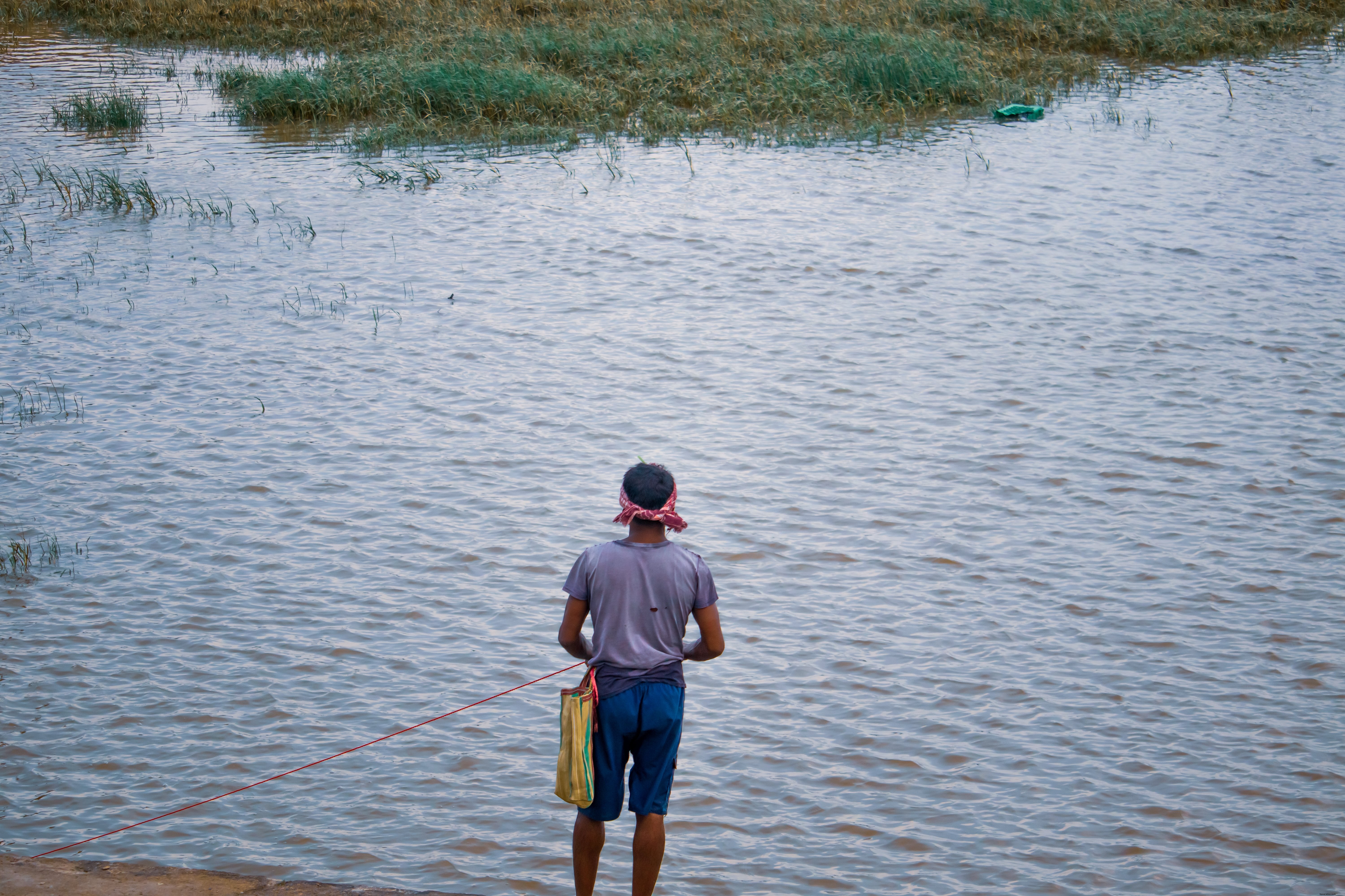 Personne fait face à l eau bleue avec de hautes herbes qui poussent dedans Photo 