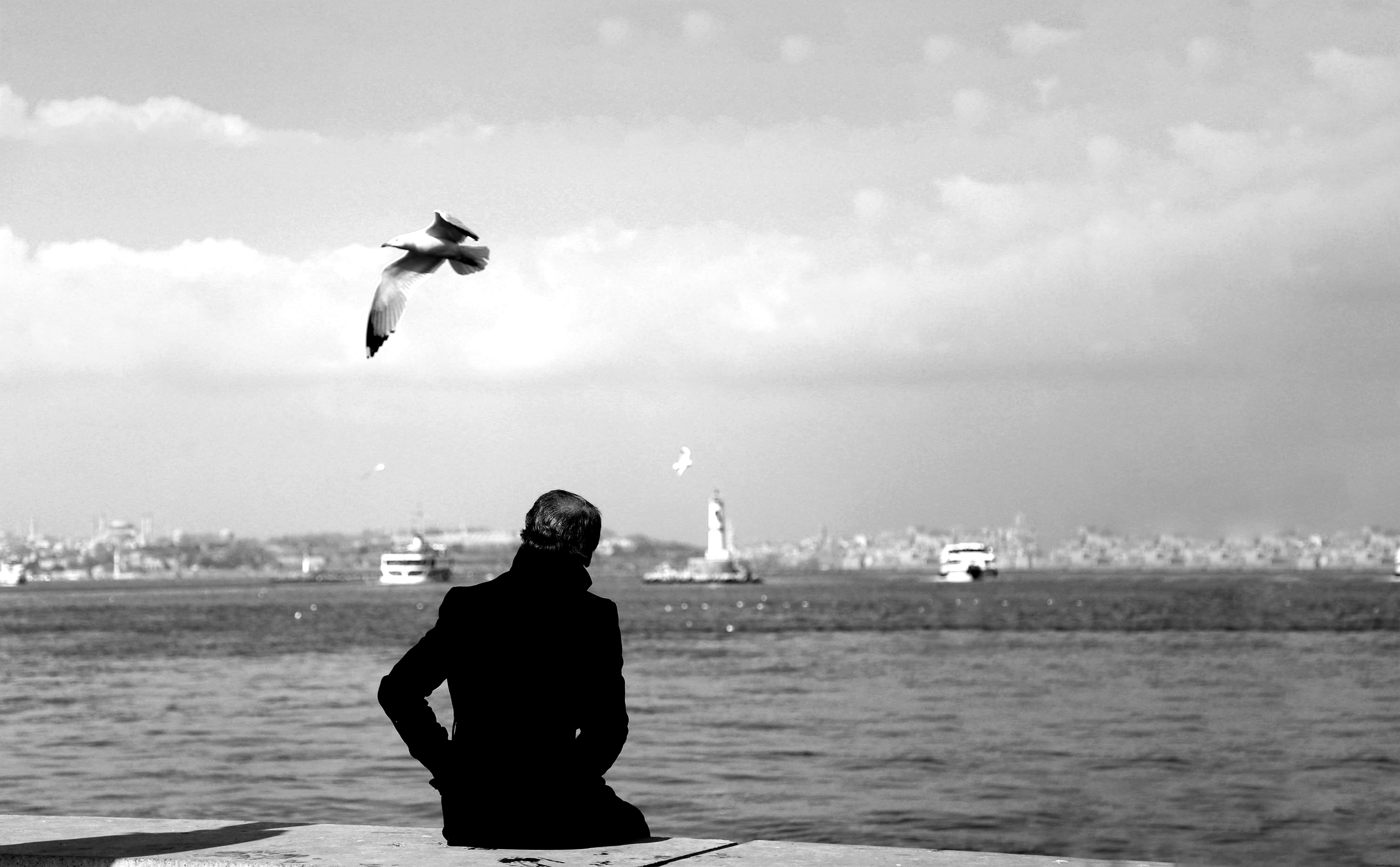 Persona sentada en la orilla con pájaros volando Foto aérea 