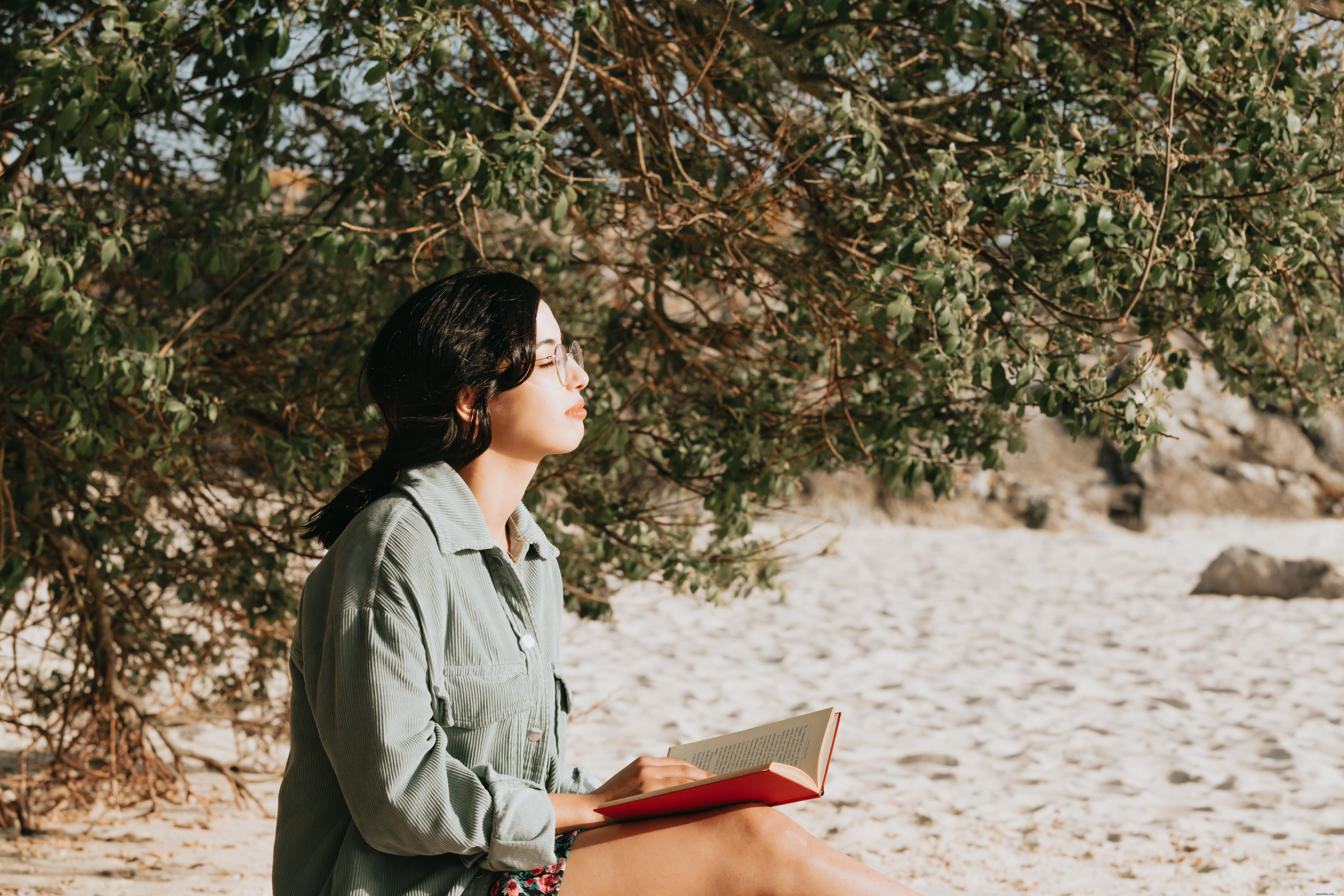Persona lee una novela en la playa de arena junto a una foto de árbol 