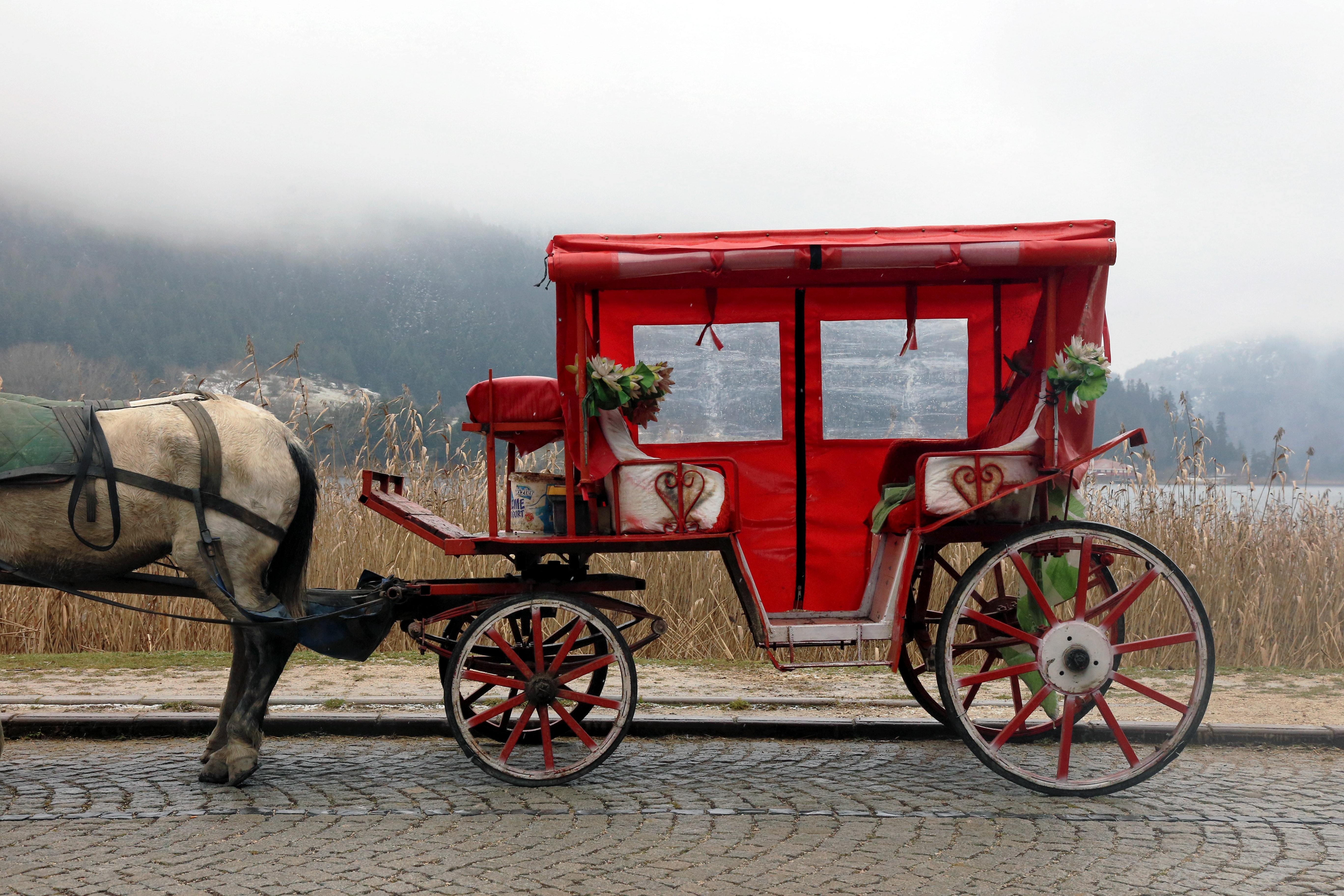 Un carruaje rojo y blanco con un caballo adjunto Foto 