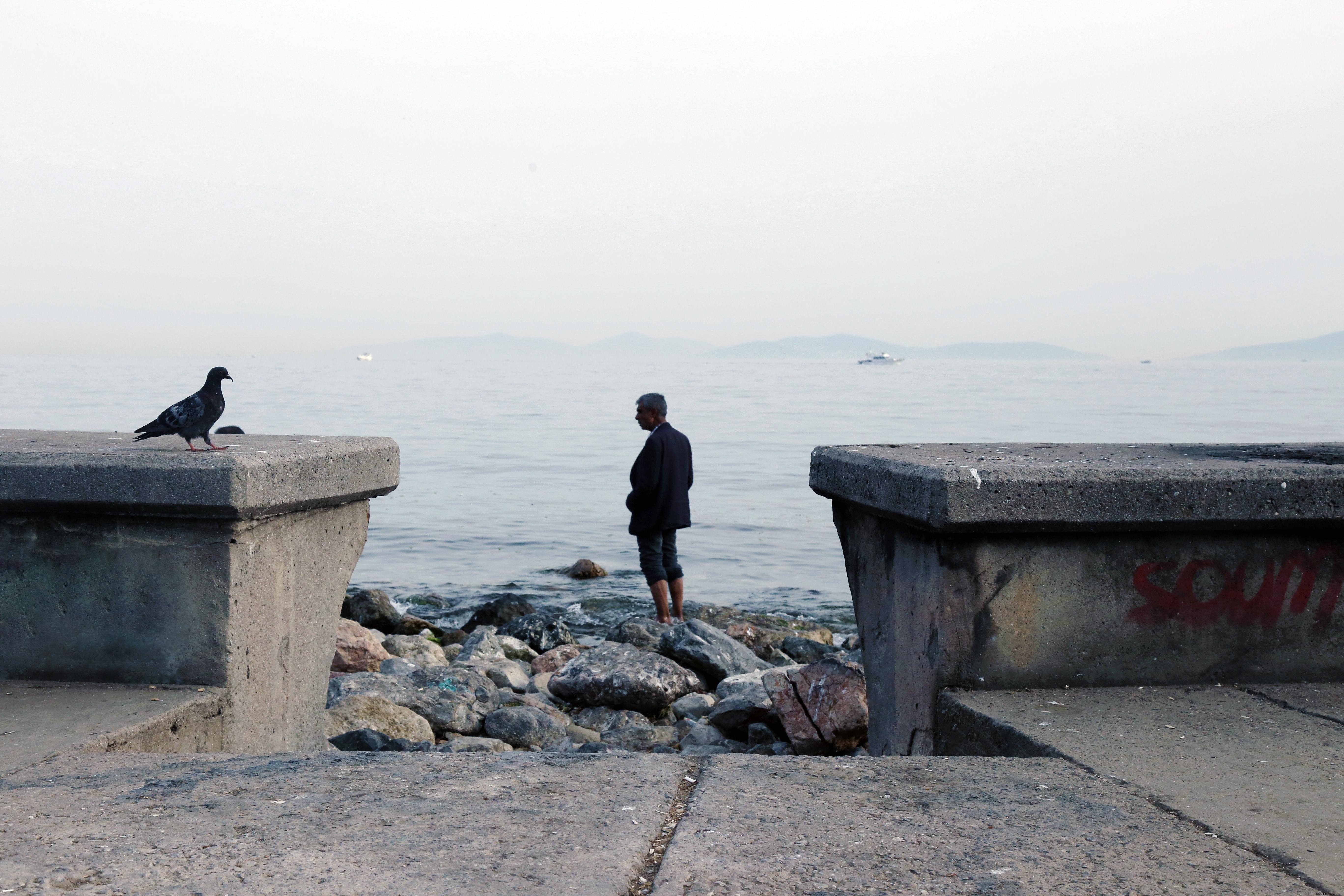 人は写真を見て岩の多い海岸に裸足で立っています 