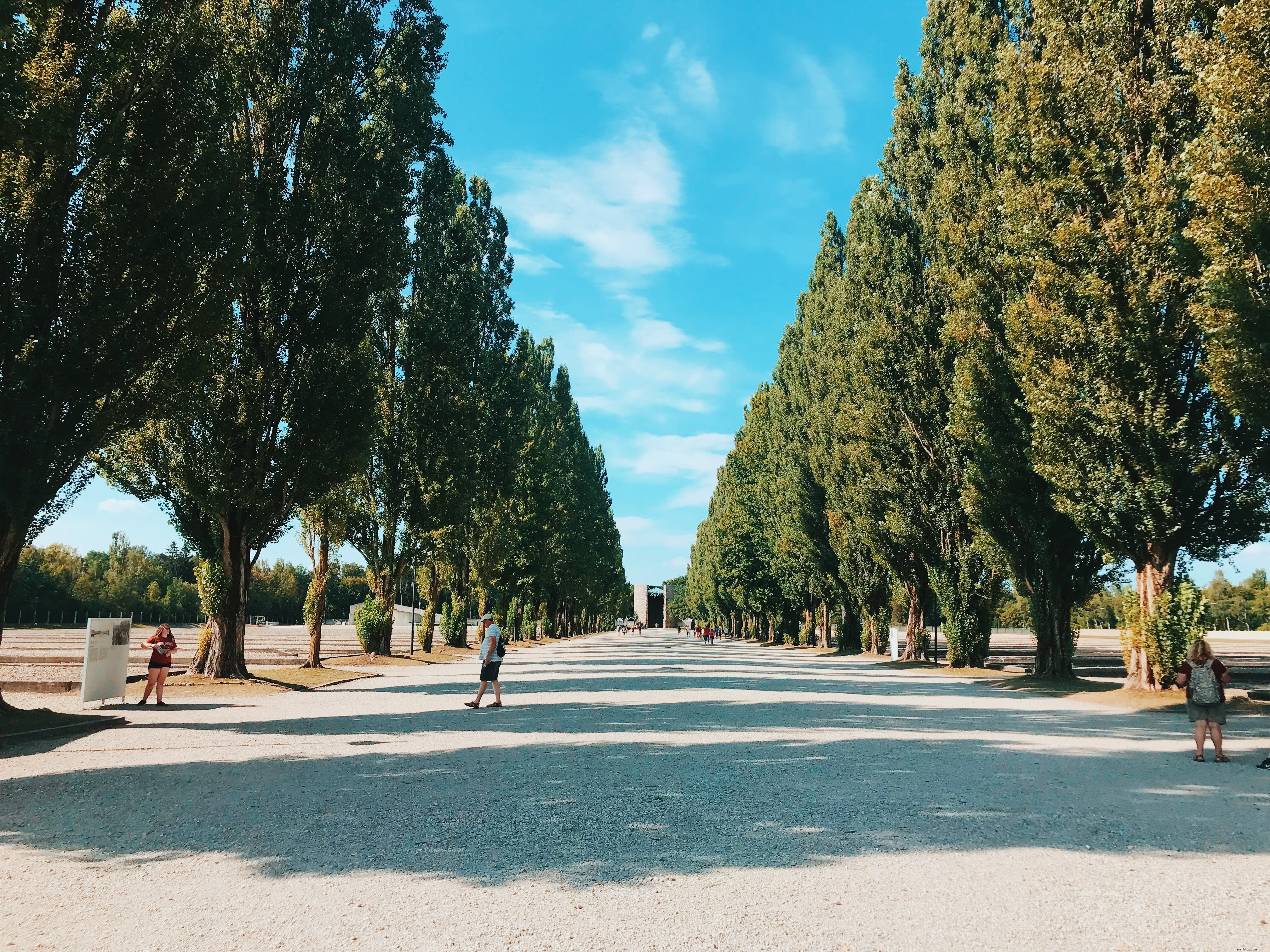 Large allée bordée d arbres avec des gens dessus Photo 