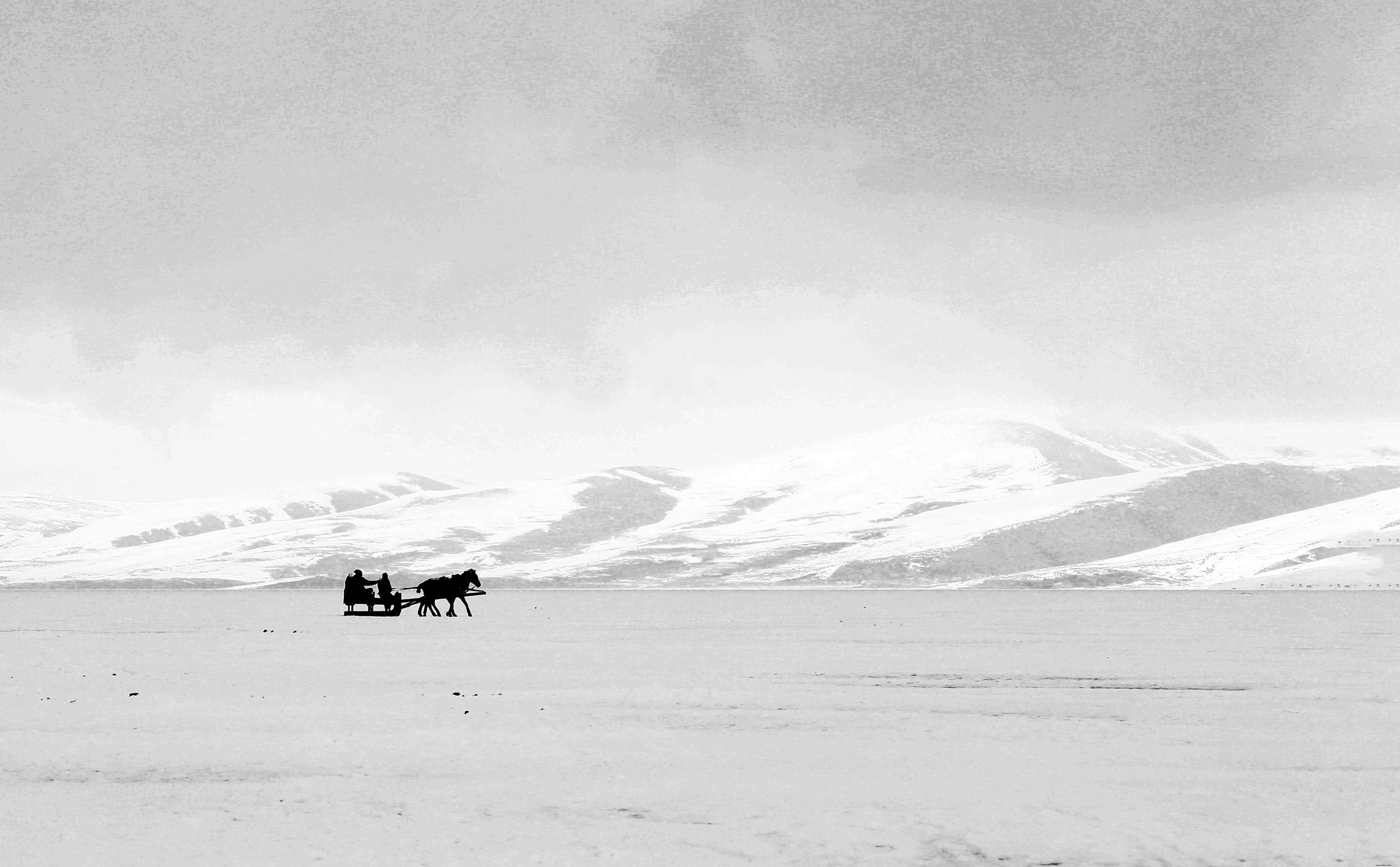 Photo en noir et blanc de collines blanches et d une photo de traîneau tiré par des chevaux 