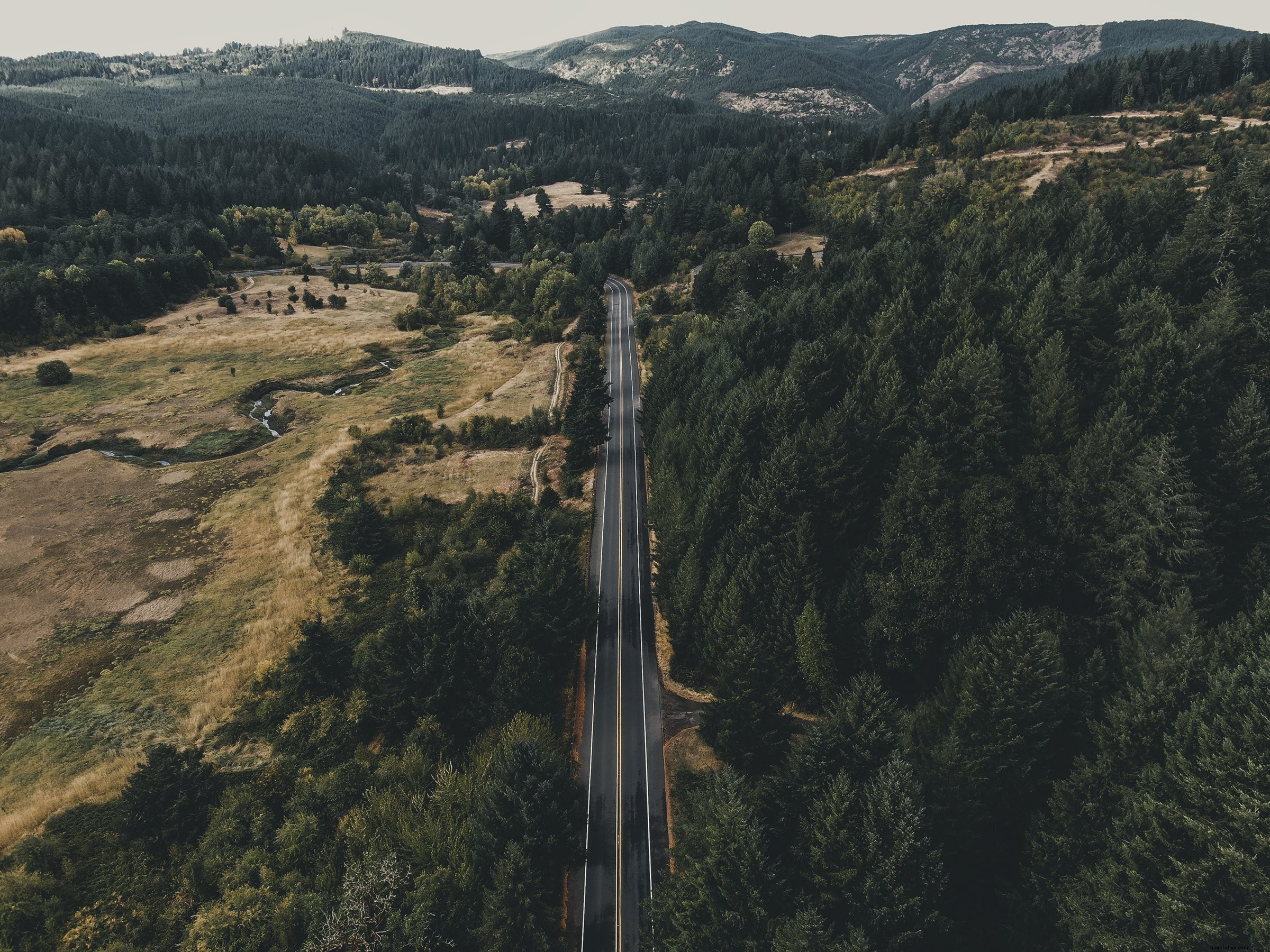 Vue aérienne d une route bordée d arbres et de vallées Photo 