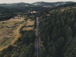 Pemandangan Udara Dari Jalan Berjajar Dengan Pepohonan Dan Lembah Foto 