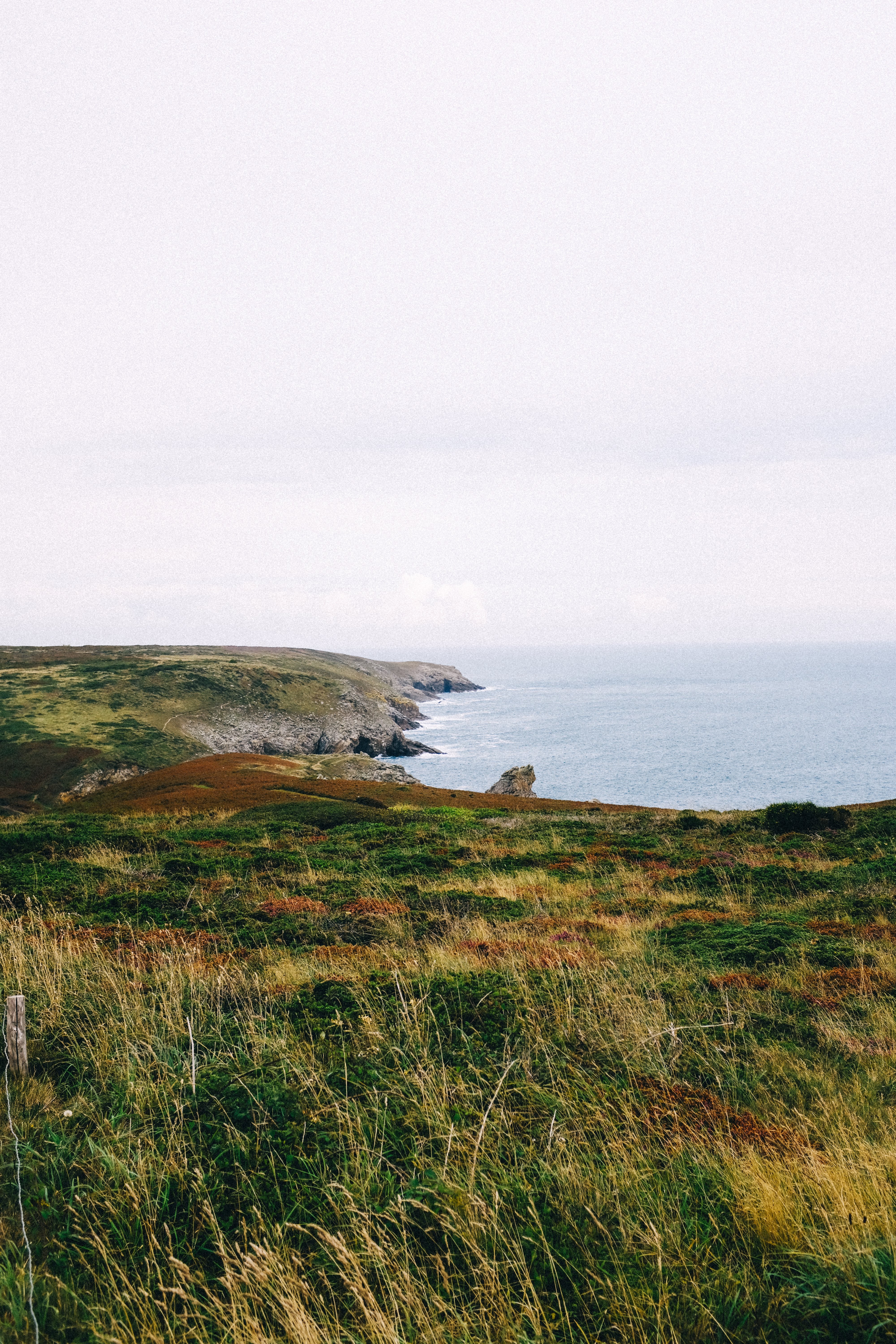 Côte herbeuse verte et jaune au bord de l océan Photo 