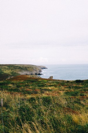 Foto de la costa verde y amarilla junto al océano 