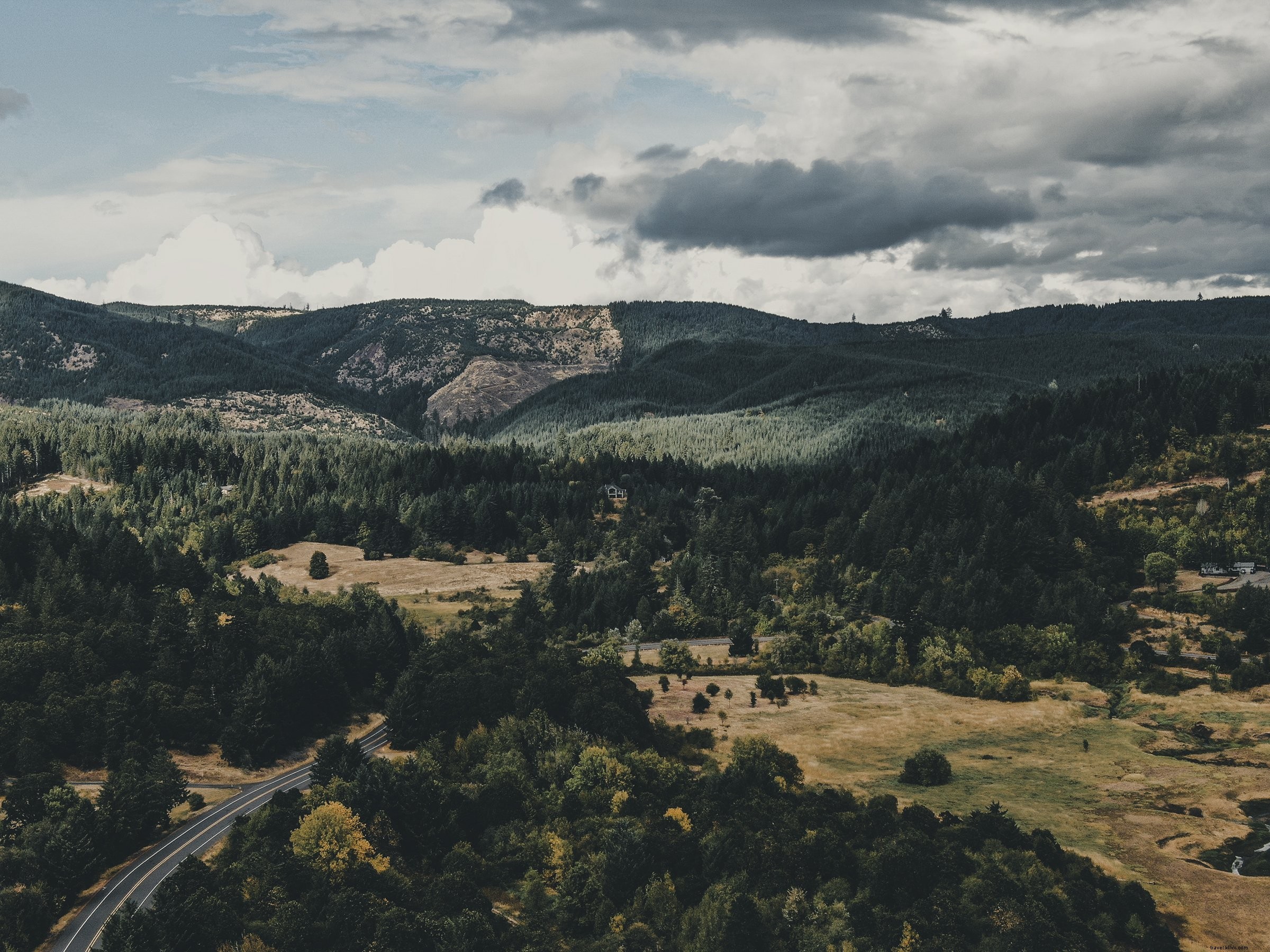 Foto de paisaje de colinas cubiertas de árboles y valles marrones 