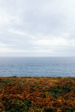 Paisaje del océano de la foto de la costa verde y marrón 