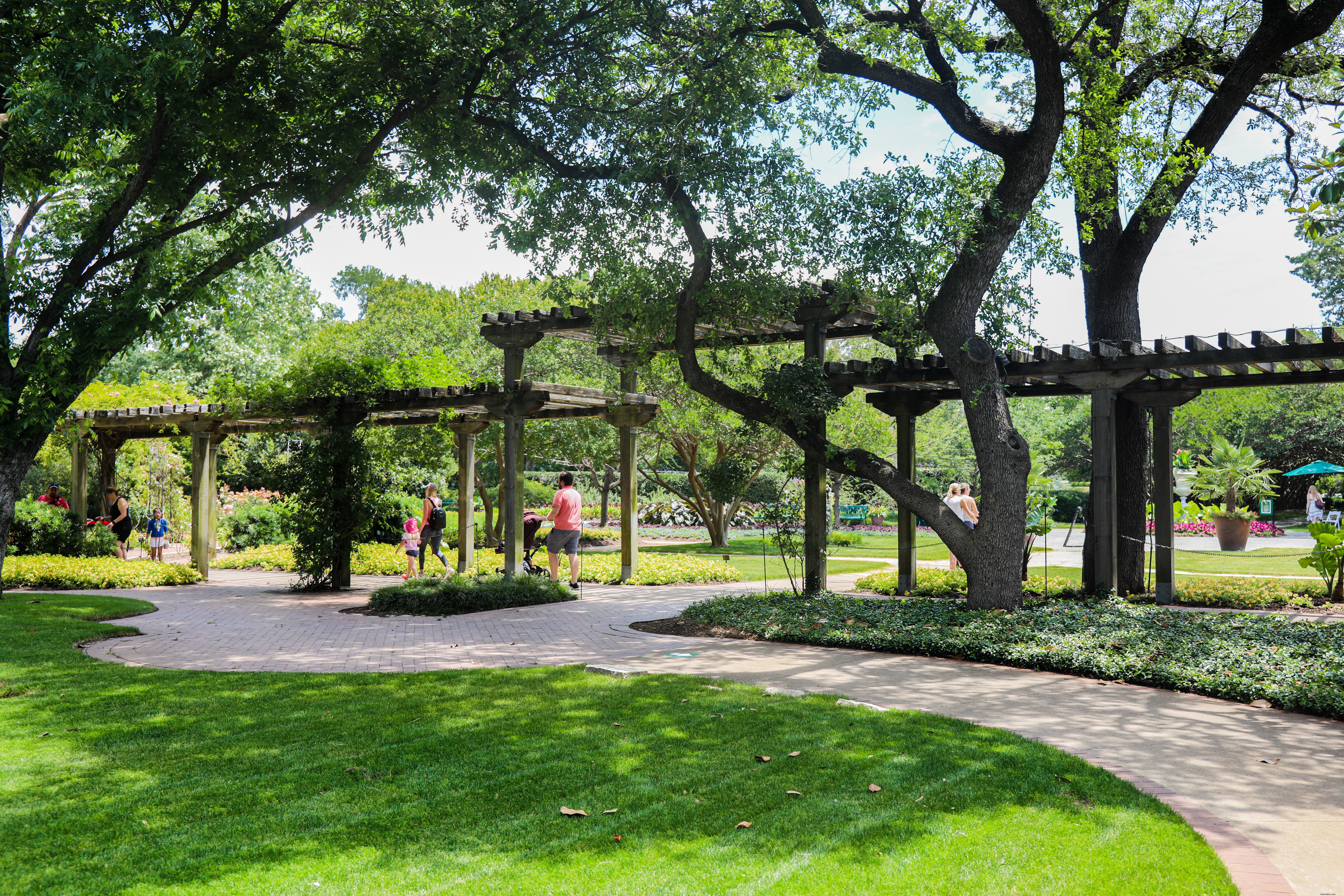 Guía para principiantes del Arboreto de Dallas 