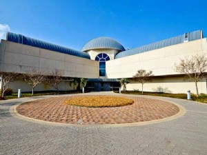 El Museo Afroamericano de Dallas celebra 45 años 