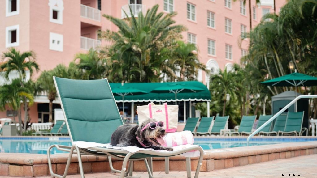 Os 10 melhores hotéis e resorts que aceitam animais de estimação nos EUA 