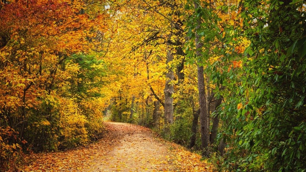 6 destinations de feuillage d automne adaptées aux familles dans le Midwest 