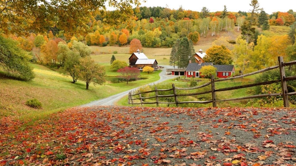 8 escapadelas de outono na Nova Inglaterra que irão encantar as crianças (e os pais, Também) 