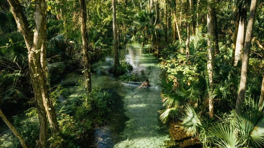 7 attrazioni della Florida tanto divertenti quanto Disney e Universal 