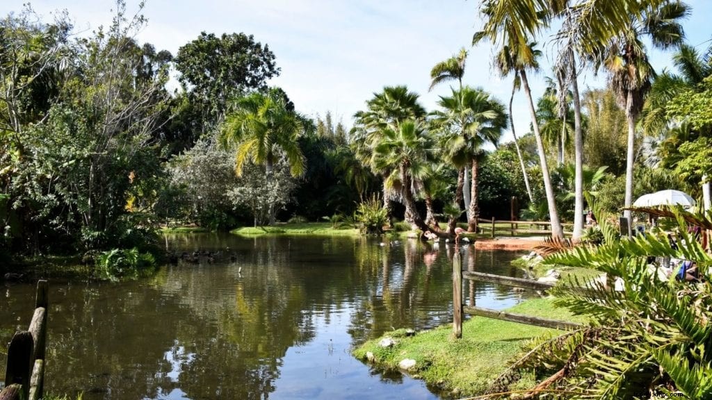 Perché Sarasota potrebbe essere il luogo di vacanza perfetto in Florida per le famiglie? 
