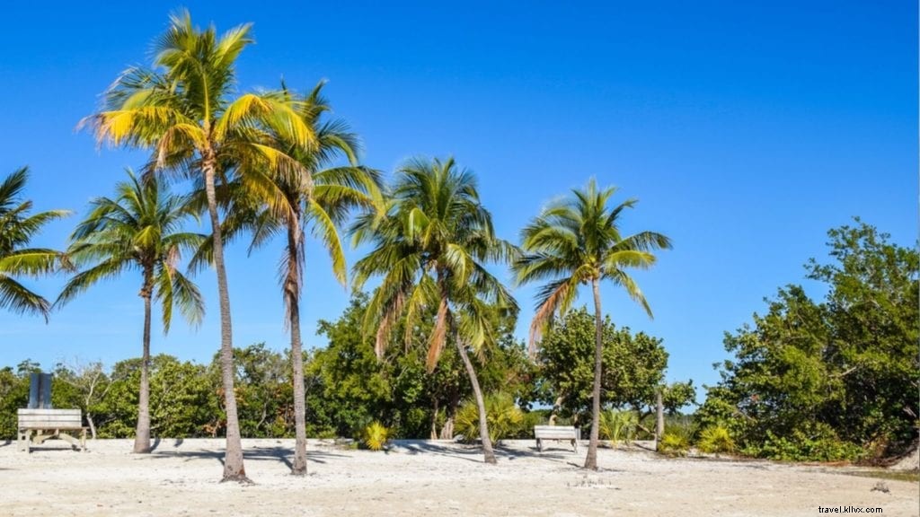 Les 5 meilleures villes balnéaires de Floride (et où loger et manger) 